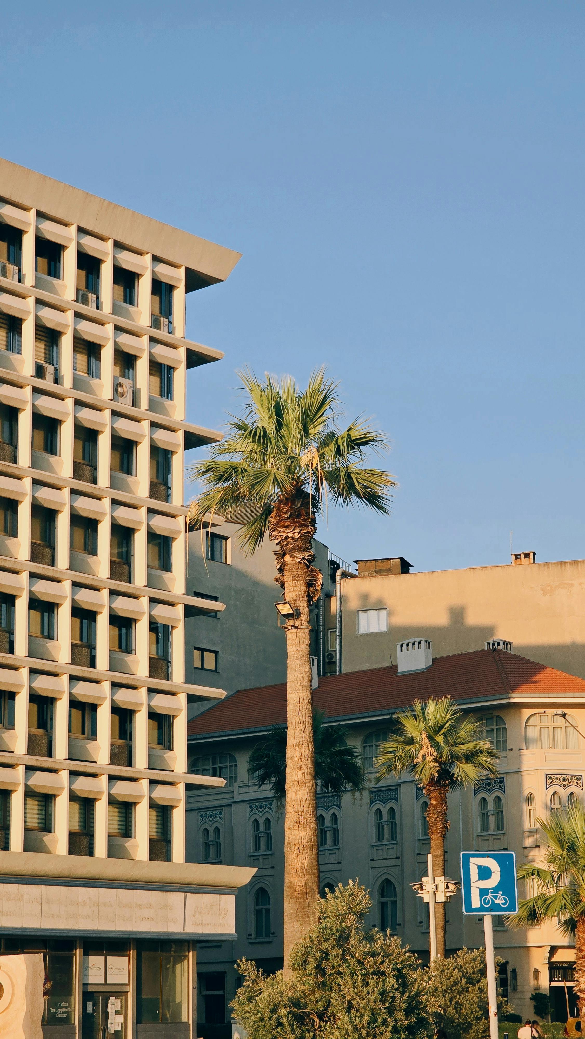 An urban view featuring palm trees and modern architecture against a clear sky.