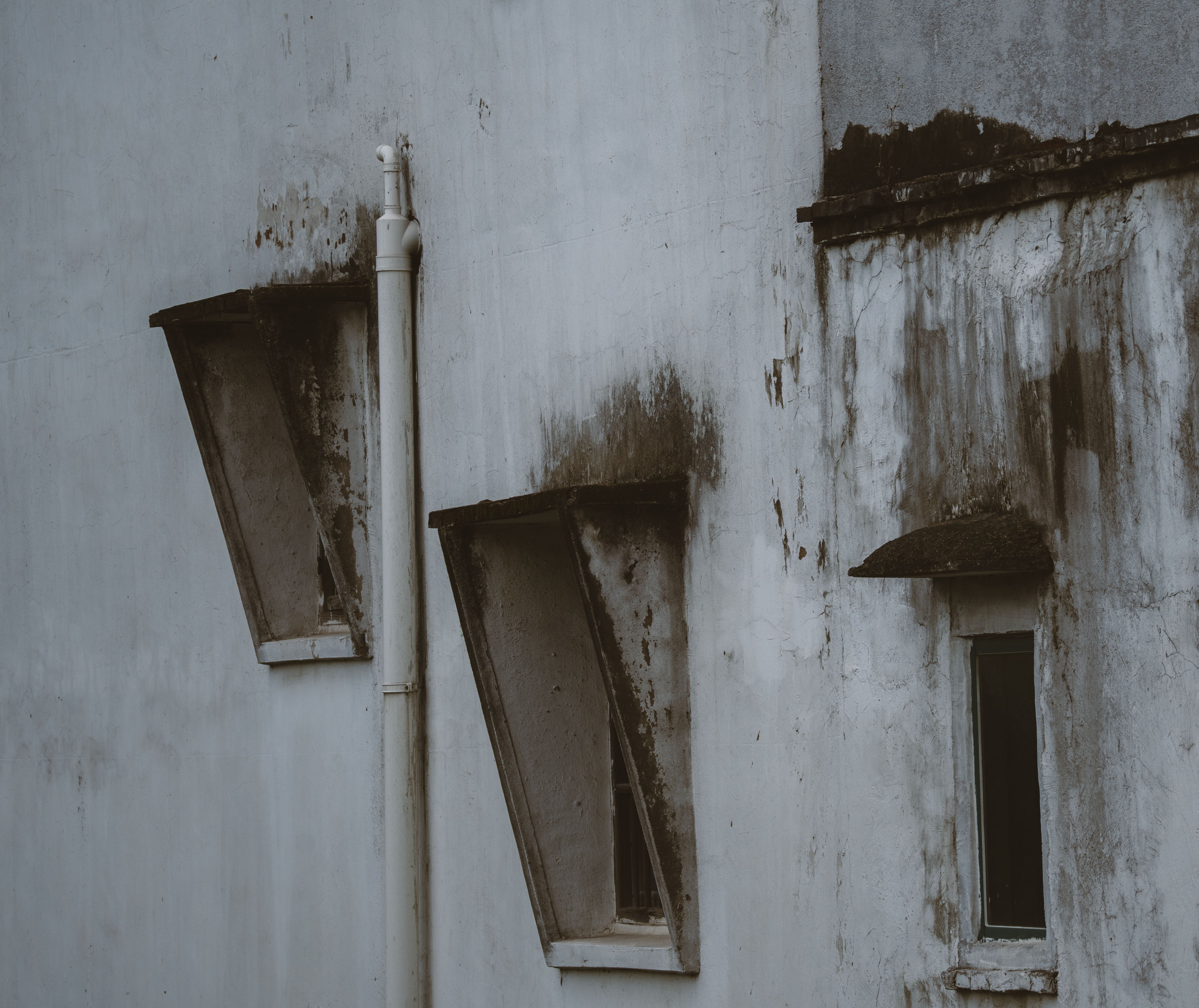 Our Expertise in Dehumidification Services