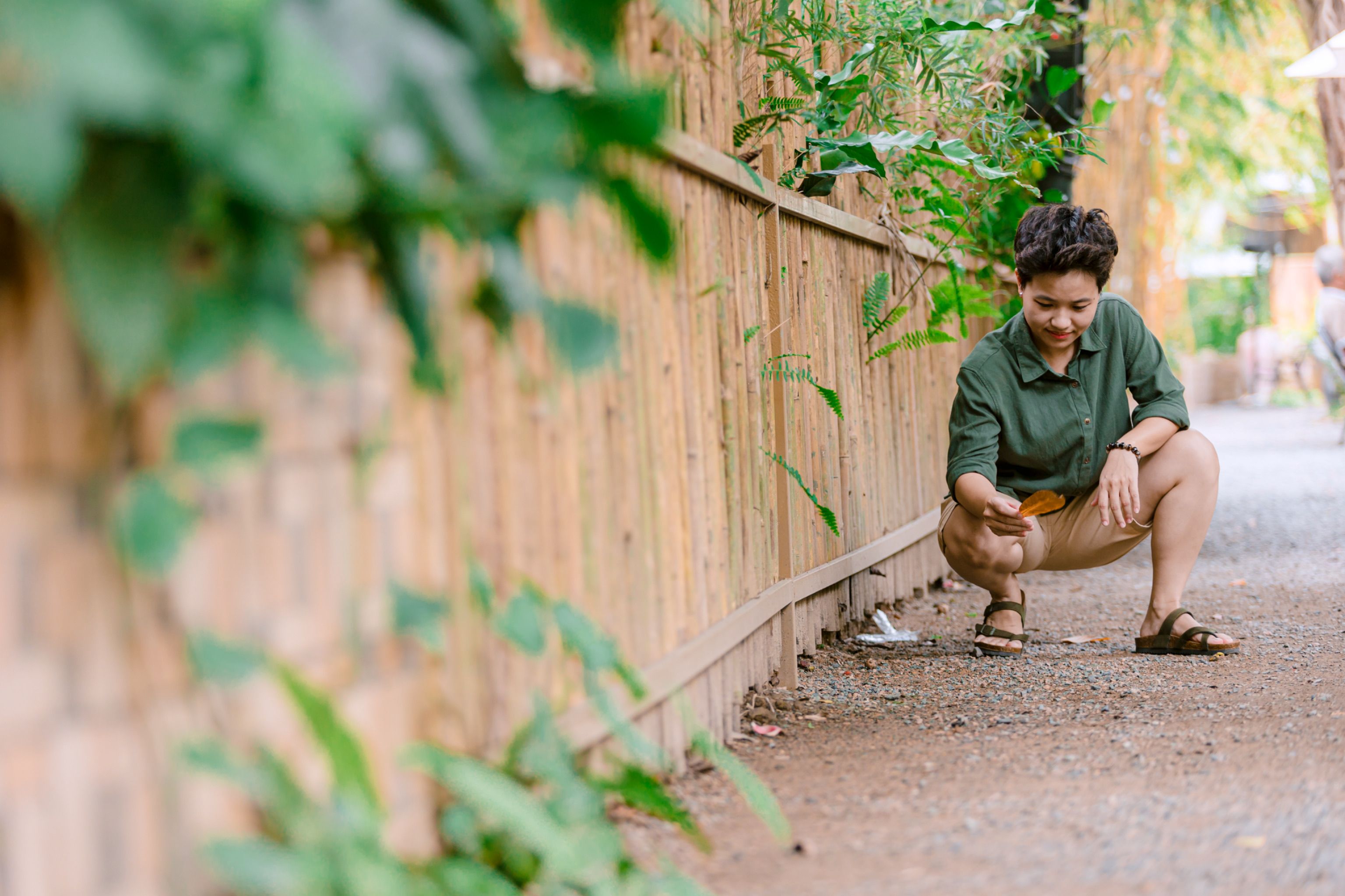 Person Squatting by Bamboo Fence in Greenery · Free Stock Photo