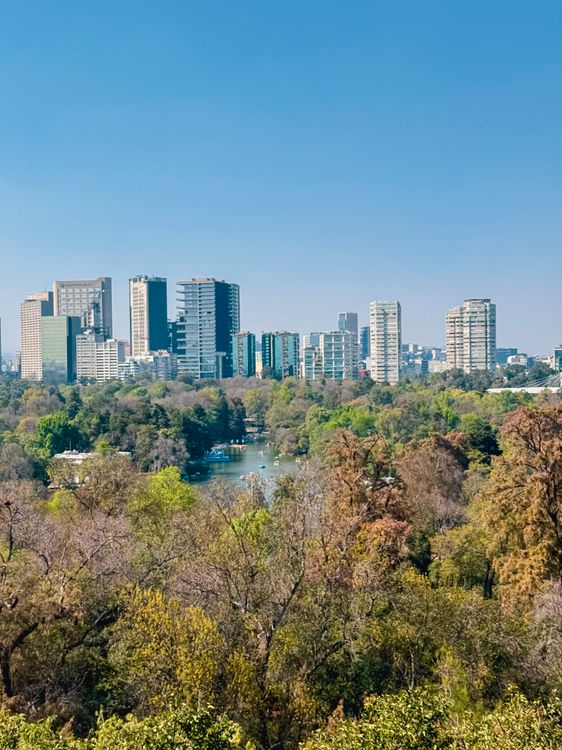 Vibrant Urban Skyline Overlooking Lush Park · Free Stock Photo