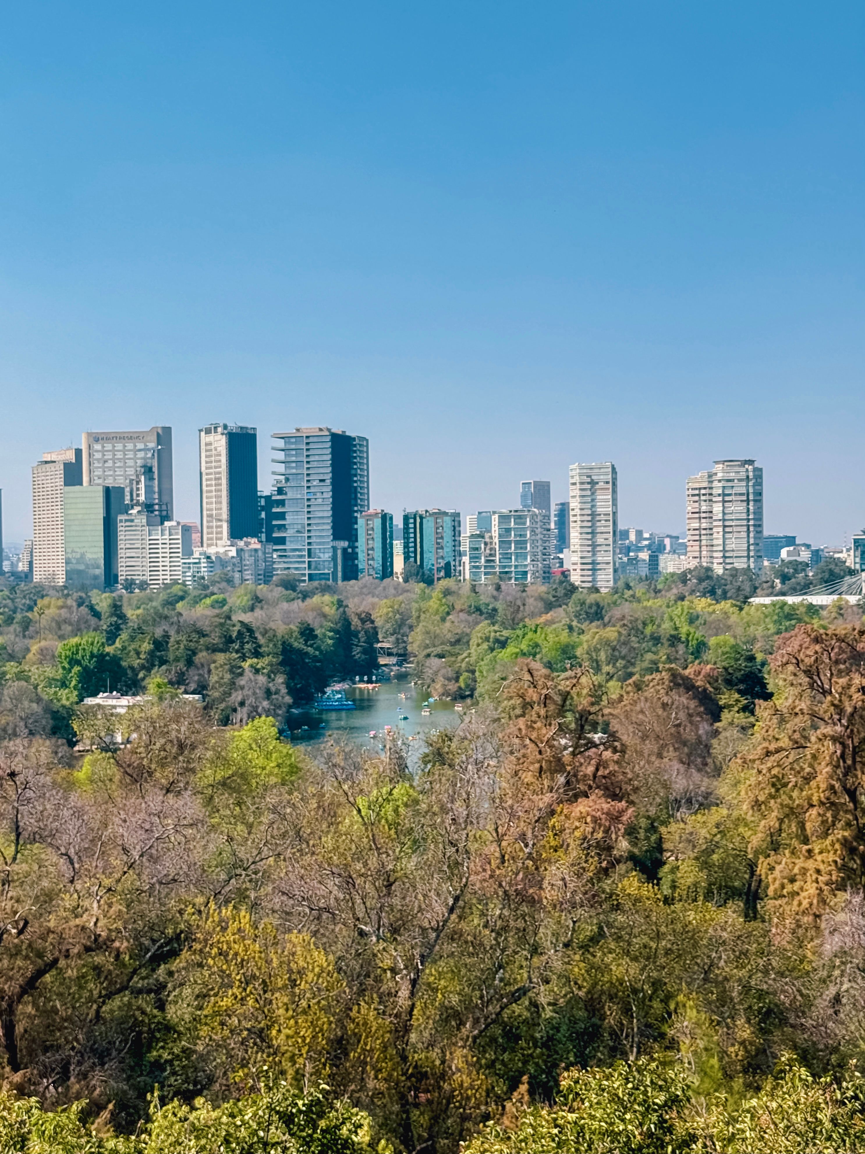 Vibrante Horizonte Urbano Con Vistas A Un Exuberante Parque · Foto de ...