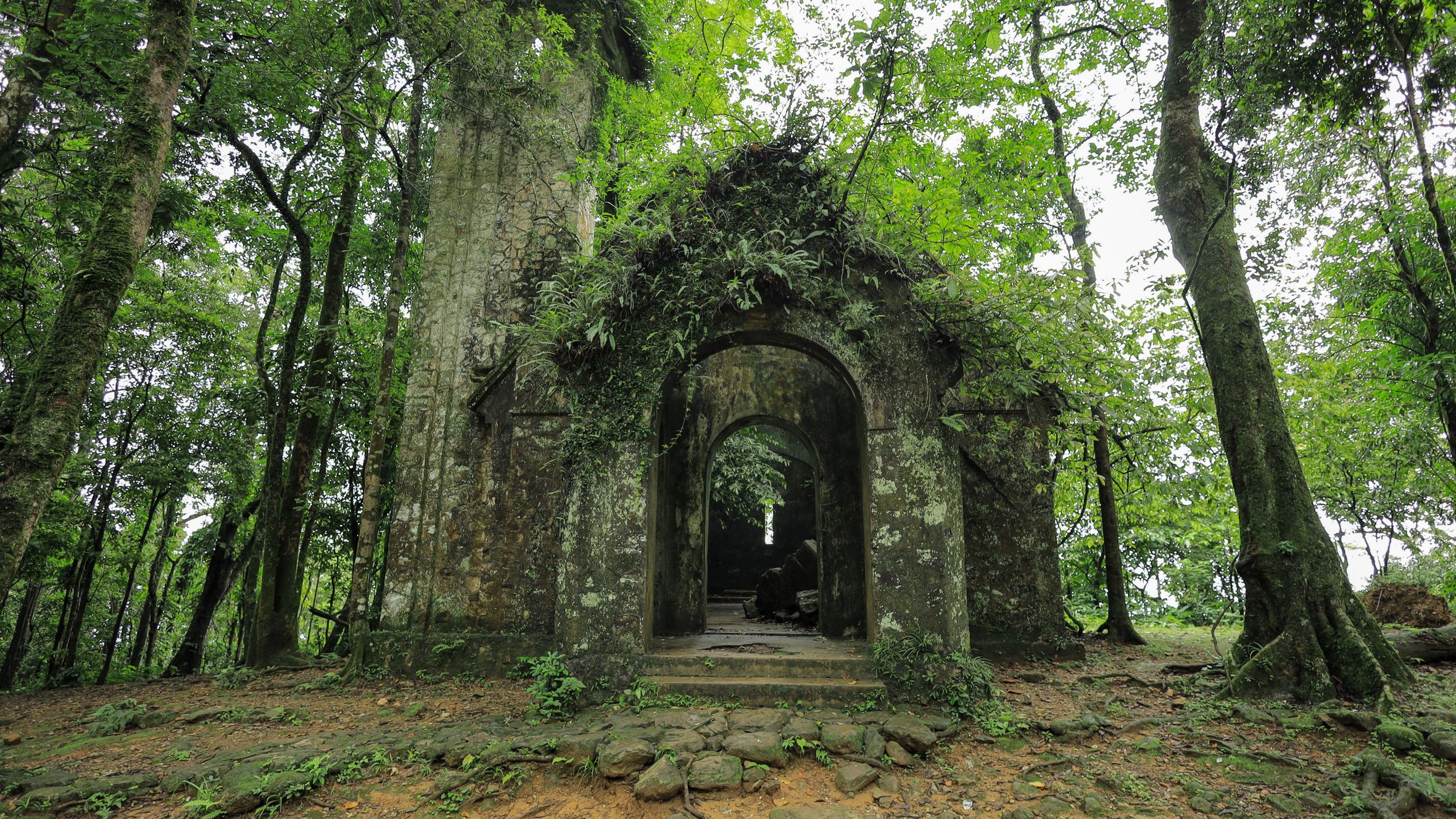 Explore a mysterious stone ruin hidden in a dense Vietnamese forest, surrounded by lush greenery.