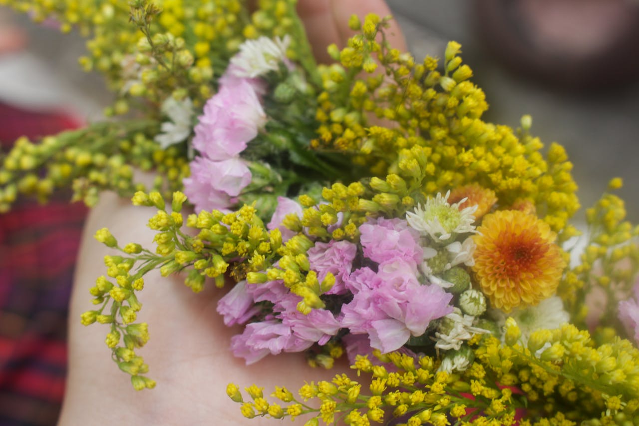 Góc nhìn trong viết lách là gì?