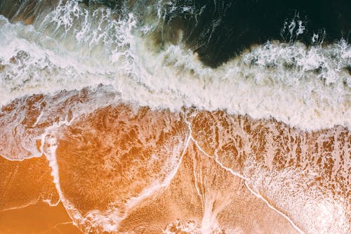 Free Aerial Shot Of Seashore Stock Photo