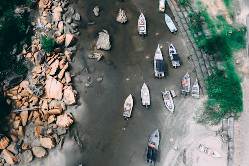 Canoës à Terre