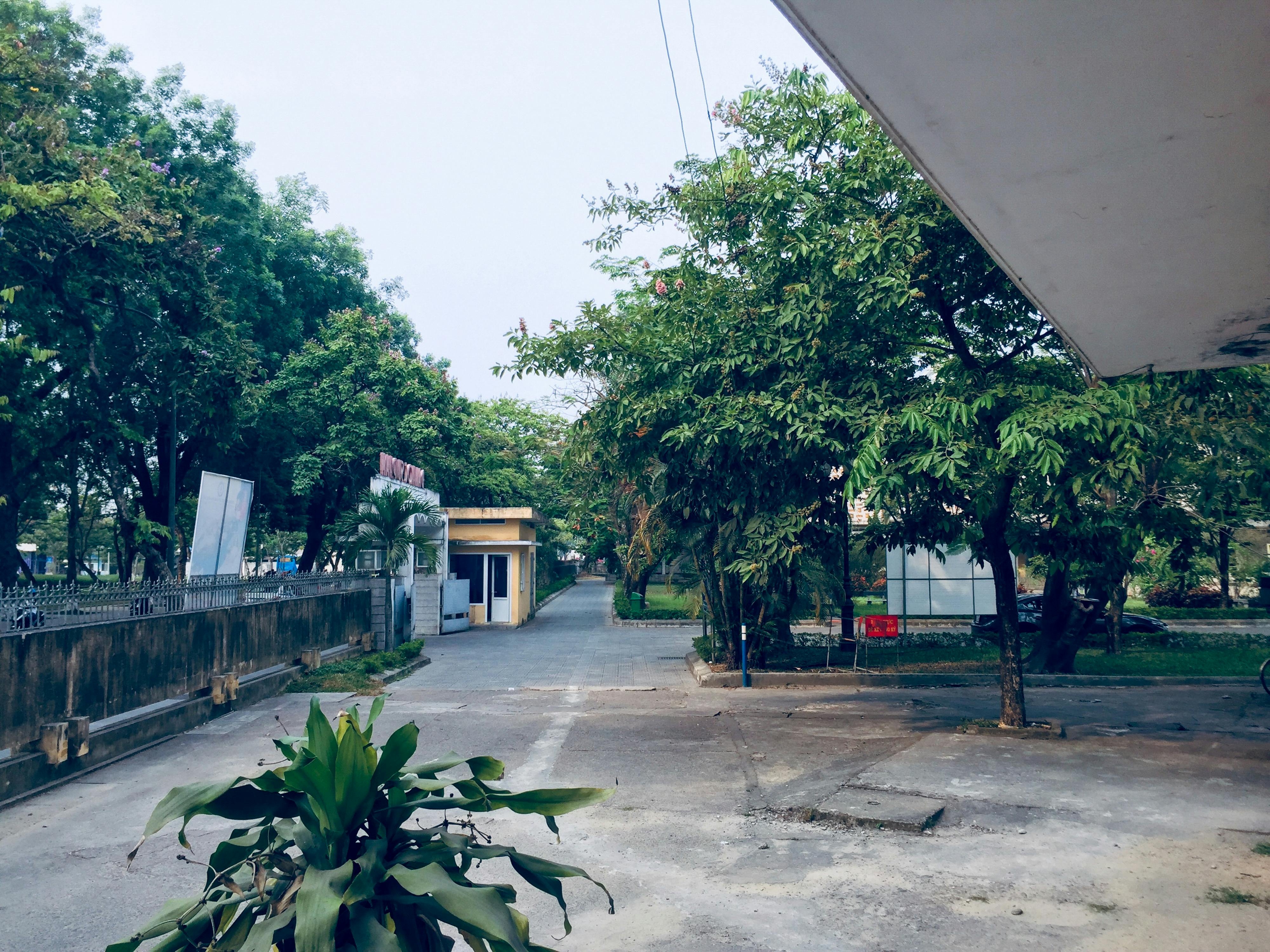 Tại sao tương lai của tôn giáo lớn nhất thế giới sẽ là phụ nữ?