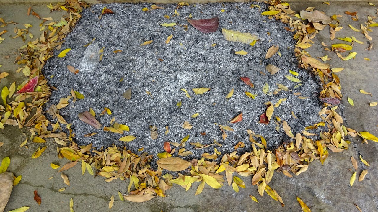 Dạy tâm lý học có phải là lãng phí thời gian?