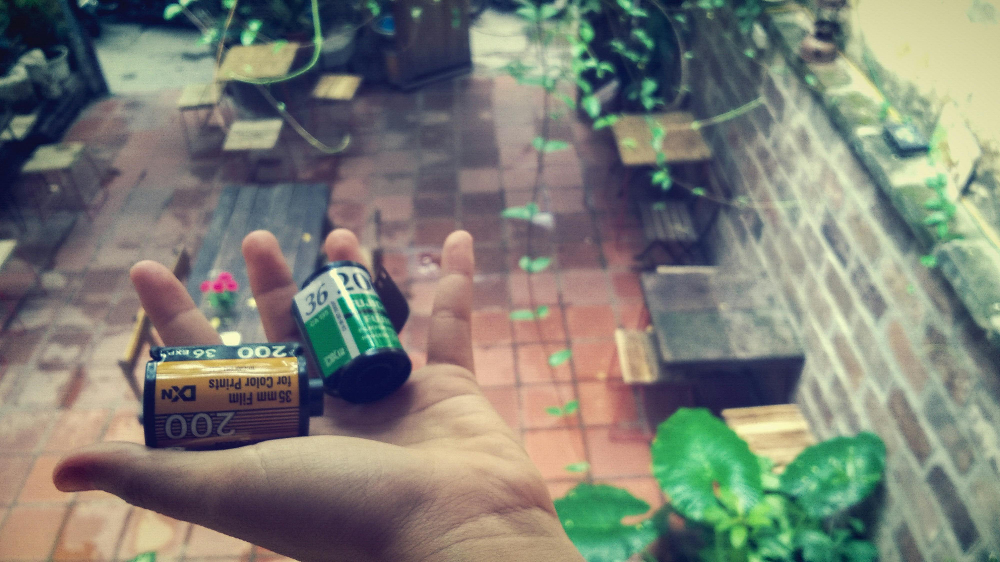 Bạn không đi xa khỏi nhà, và những động vật bạn nhìn thấy ngoài cửa sổ cũng vậy