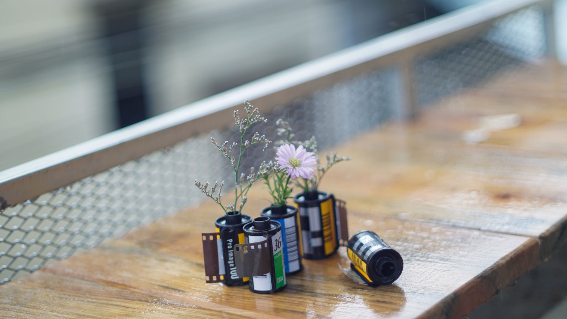 Film canisters repurposed as vases with delicate flowers, evoking nostalgia.