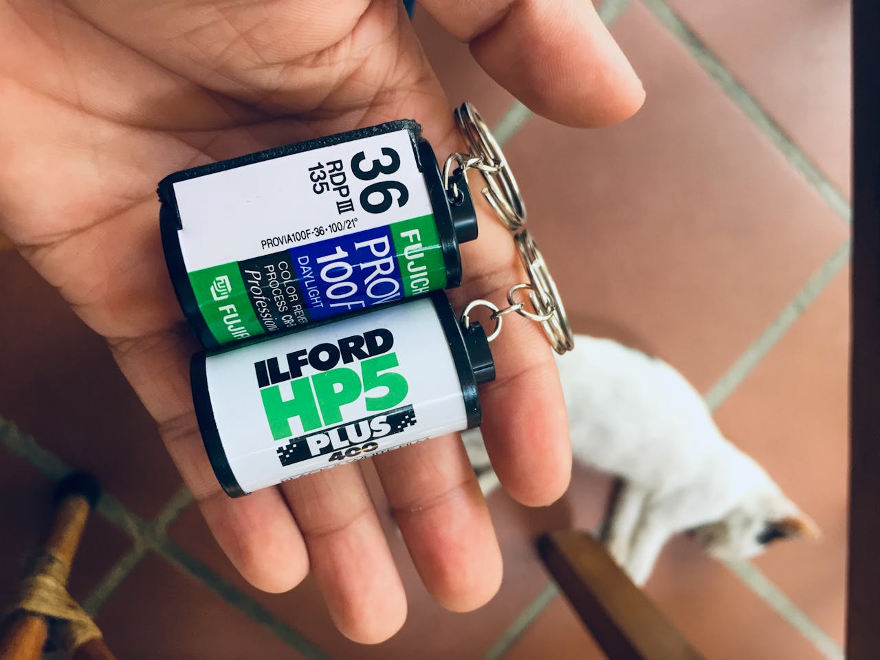 Chim lửa | Chương 11