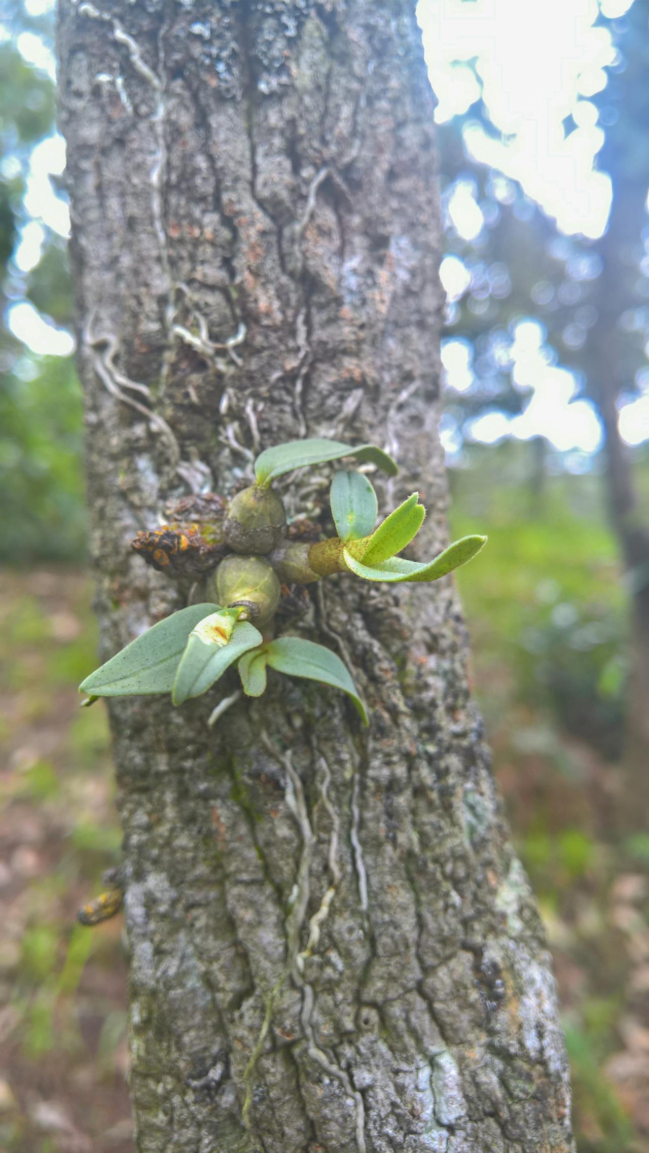 3 tác phẩm triết học hay hơn sách self help