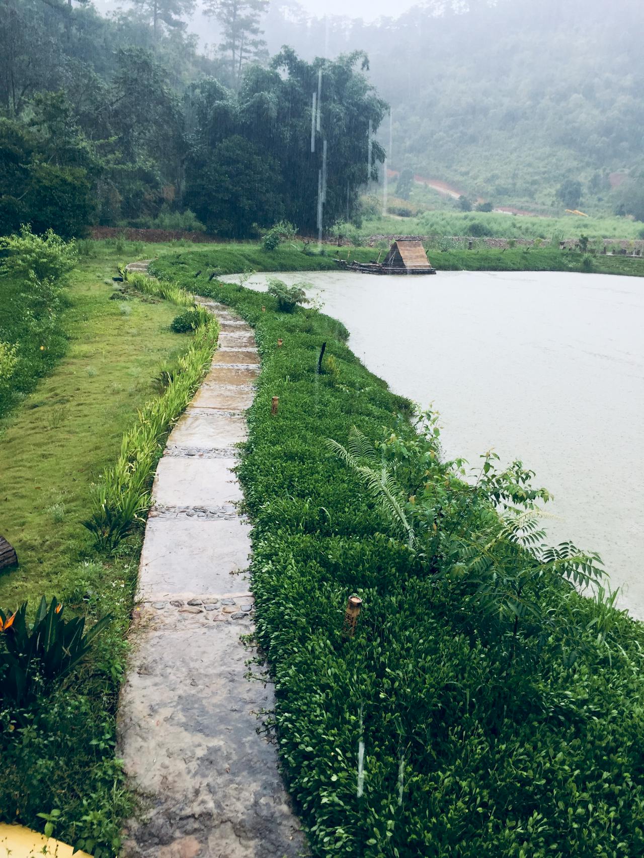 Sự xung đột của những bí ẩn của tâm trí và lượng tử