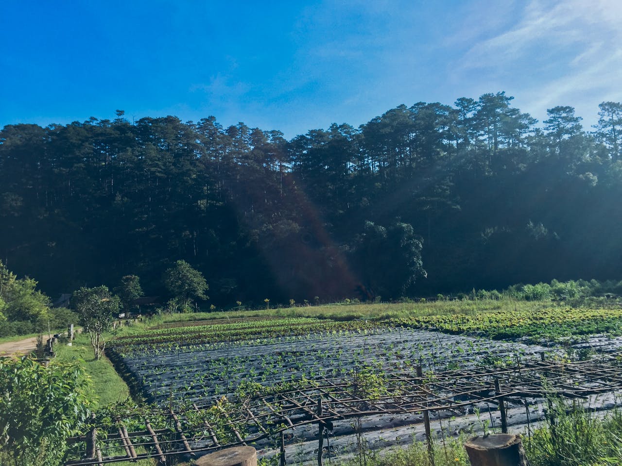 Thám tử lừng danh Conan | Chương 0273