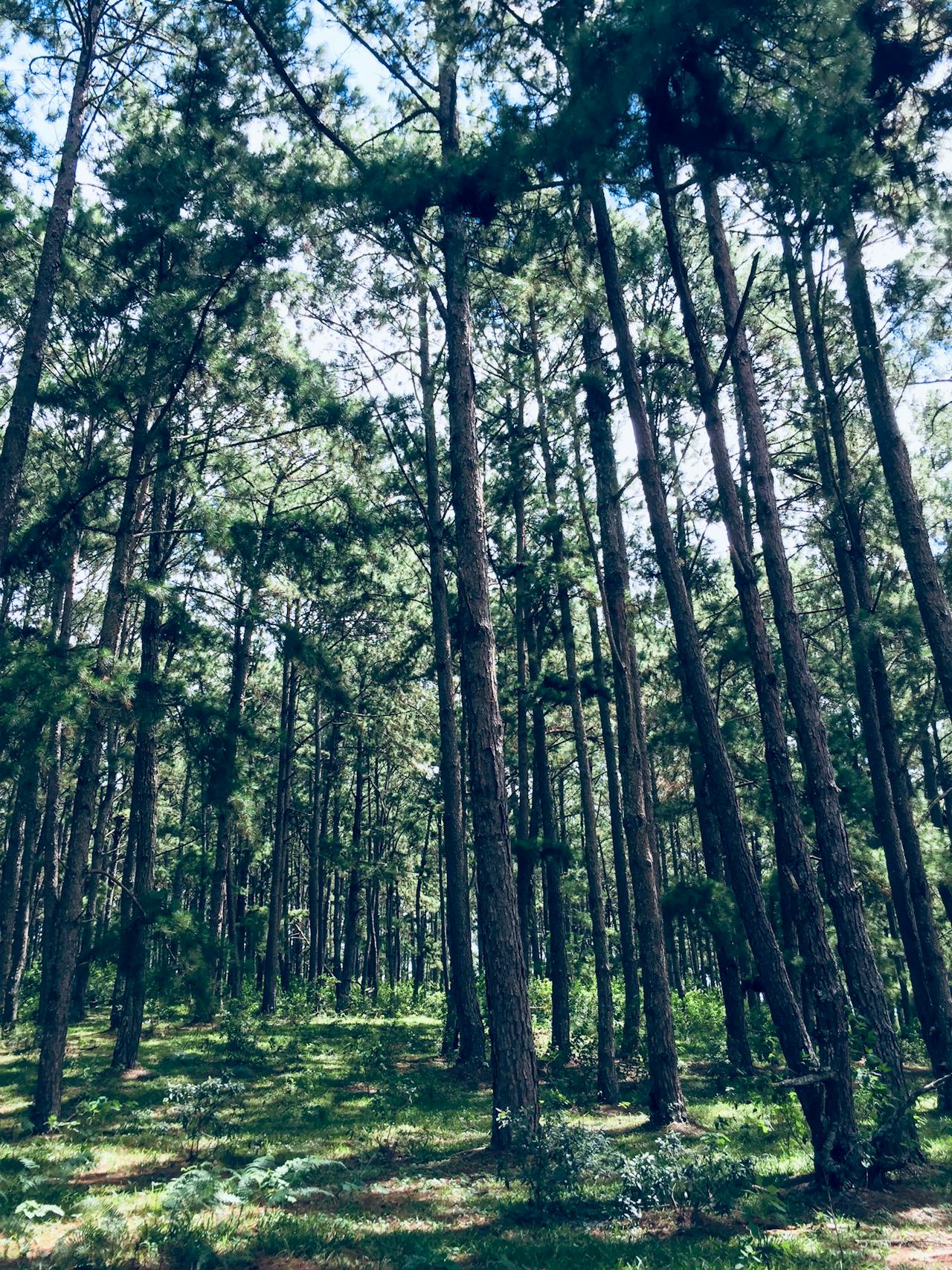 Thám tử lừng danh Conan | Chương 1083