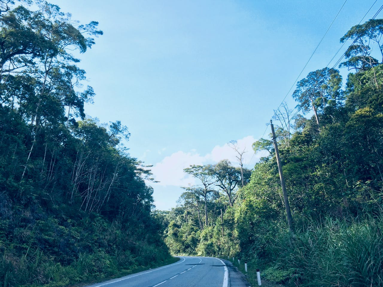 Bí quyết tạo sự đồng cảm để chạm đến trái tim độc giả