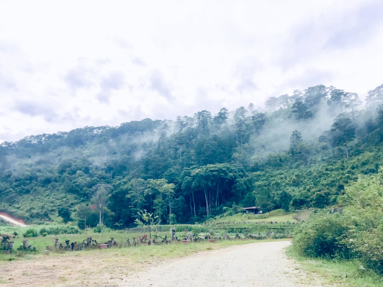 Xây dựng bối cảnh làm câu chuyện chân thực