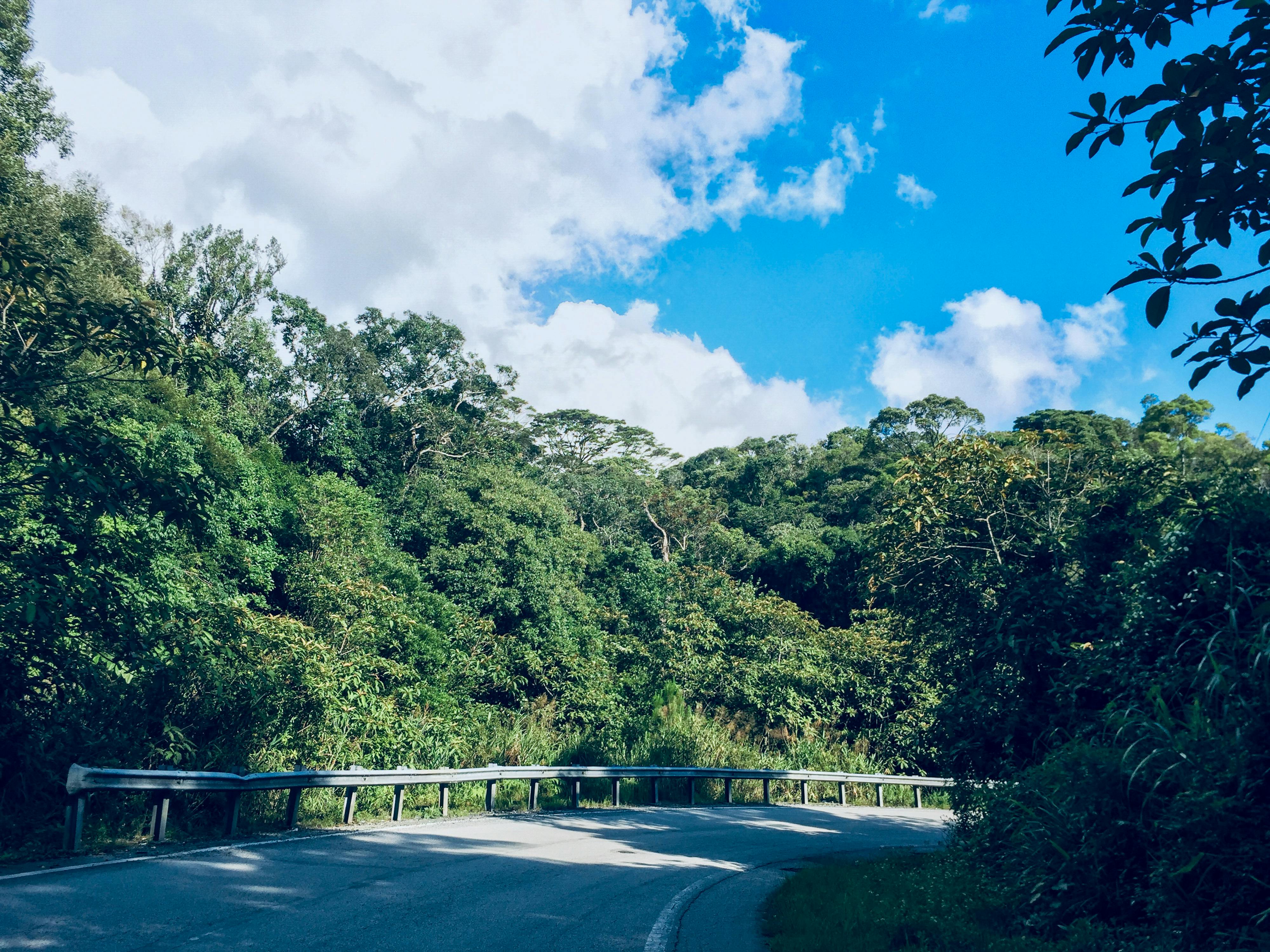 Chim lửa | Chương 38