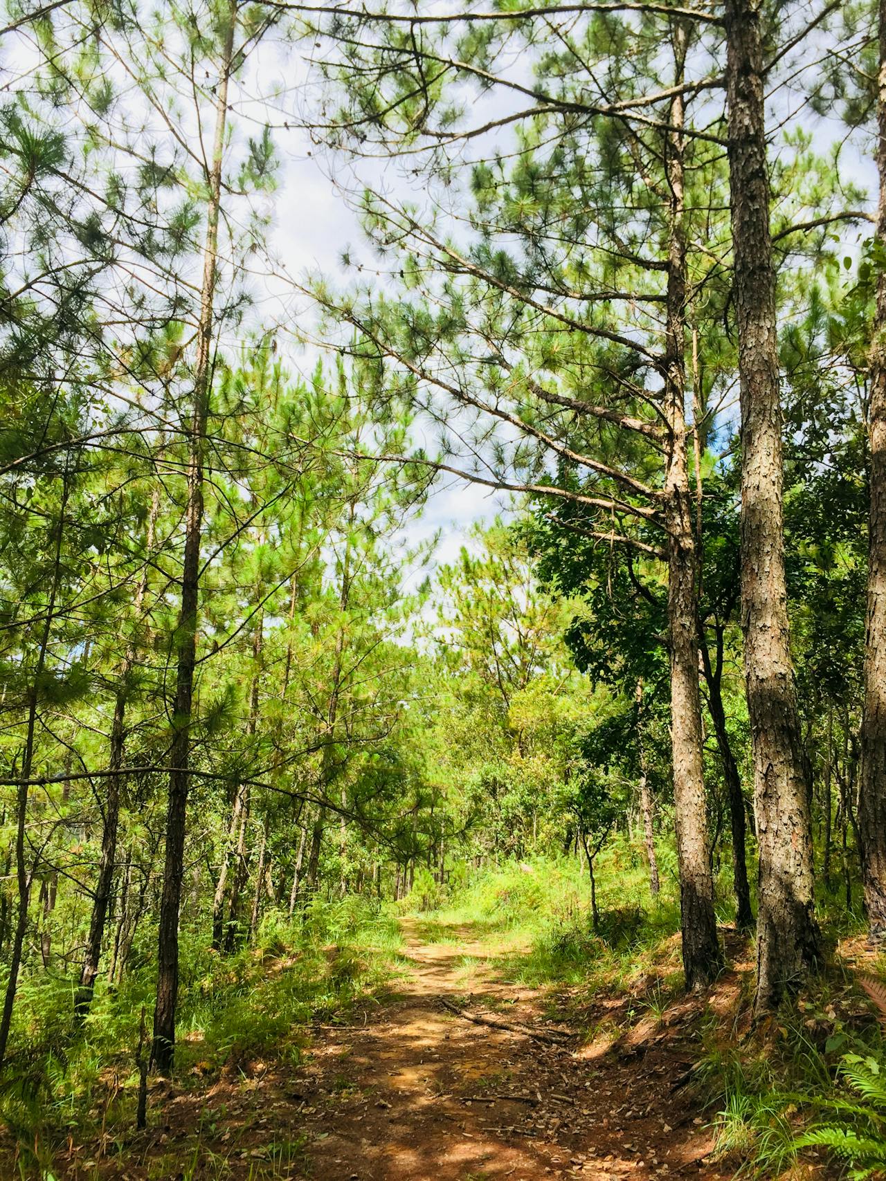 Lập luận của triết gia chống lại cái chết