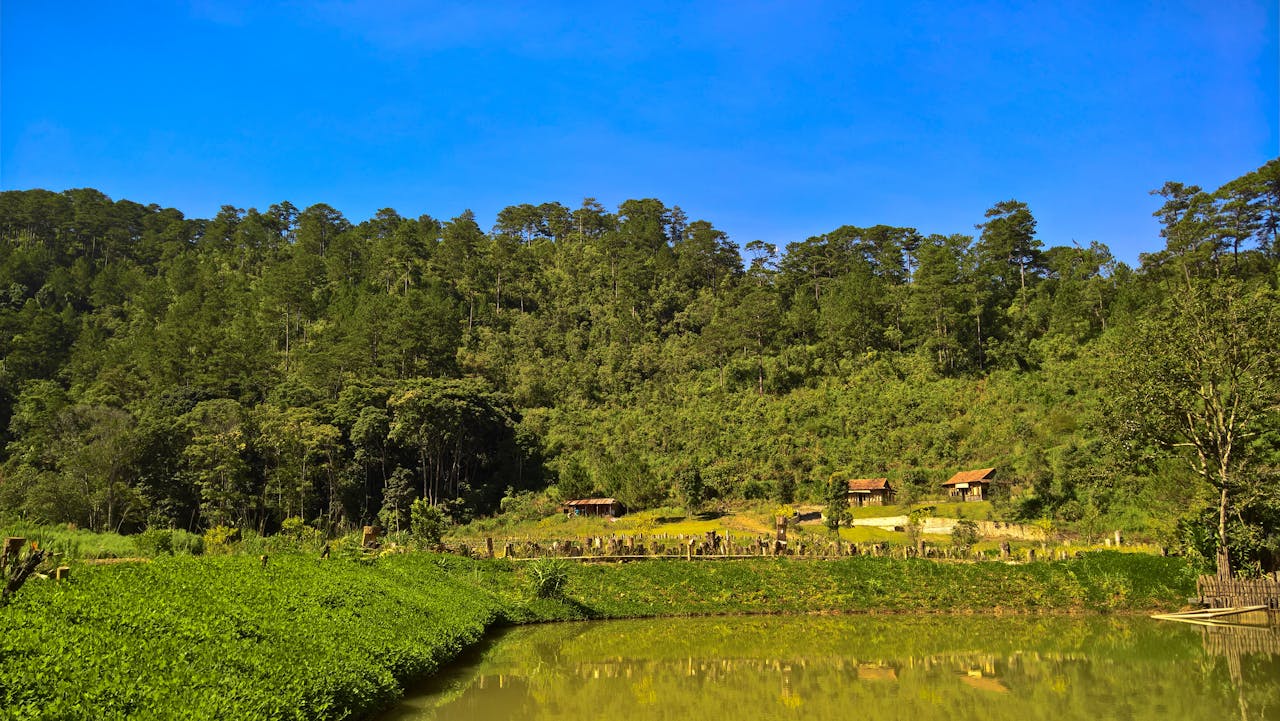 Gián điệp mạng | Chương 13