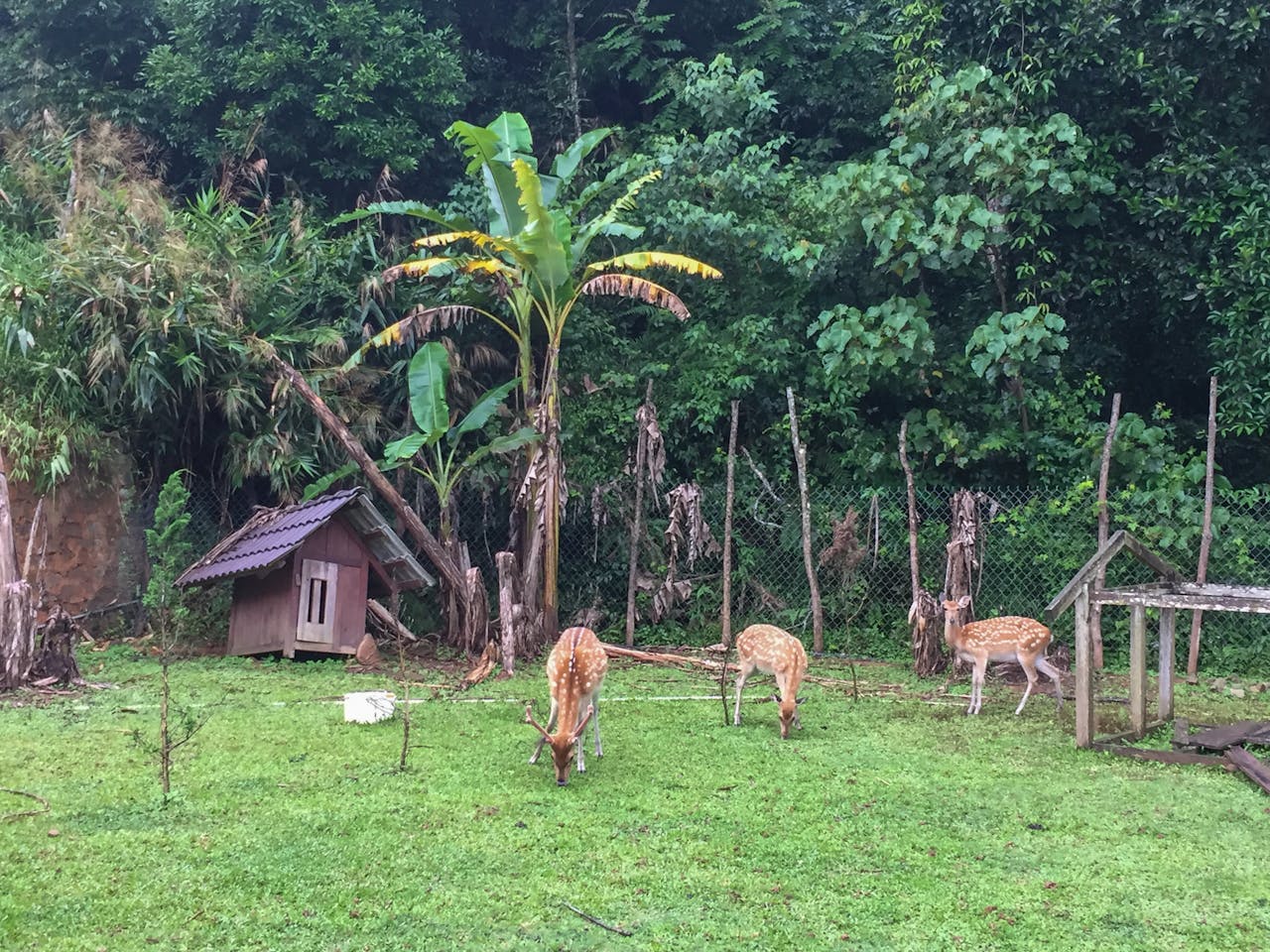 24 hành tinh phù hợp sự sống hơn Trái Đất