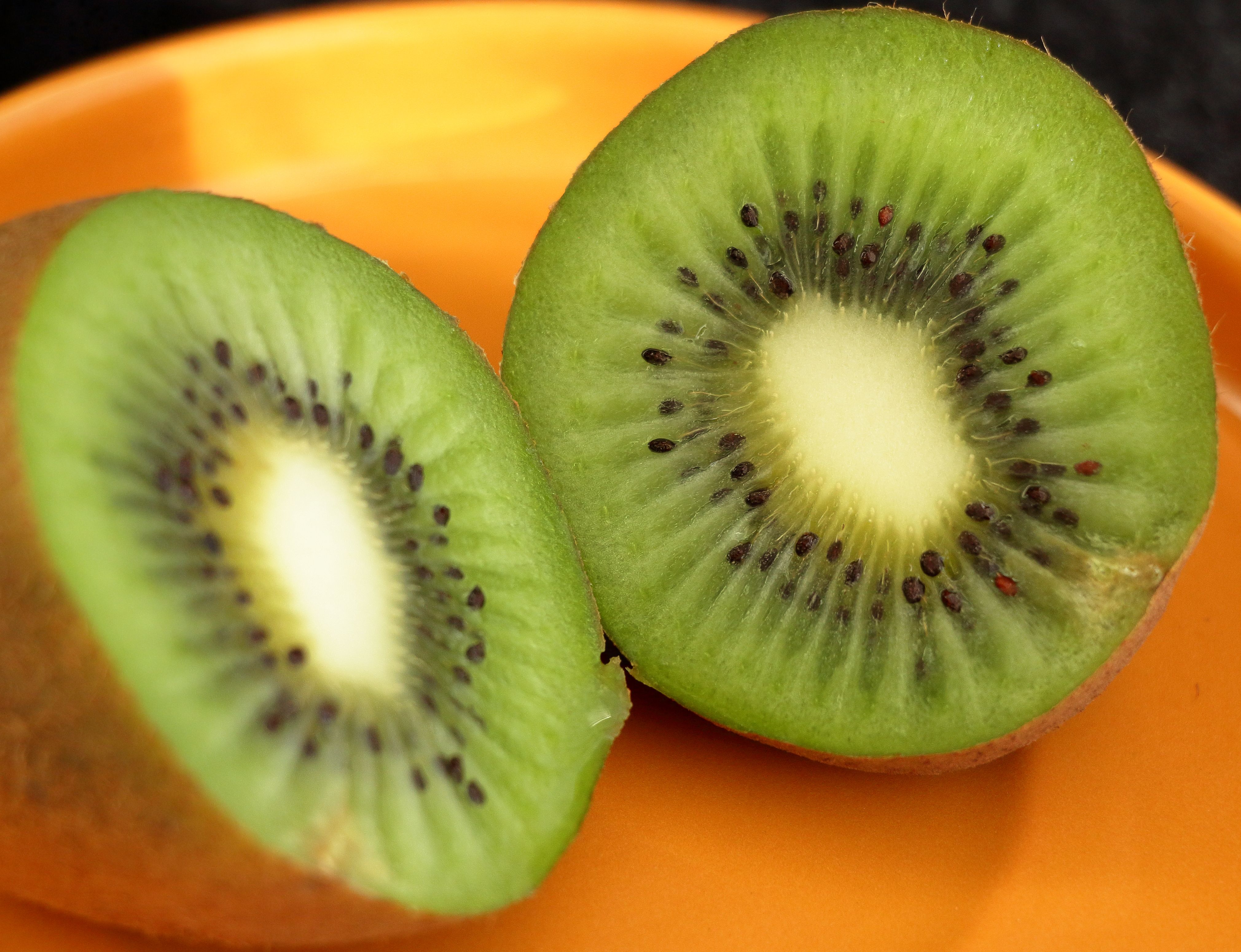 Vibrant close-up image of sliced kiwi fruit on an orange plate, showcasing its juicy and fresh appearance. - Evidence evidence guide for vitamin K fracture meta-analysis
