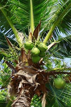 чёт стрёмаюсь ну лан, коллаб с подругой💔 неанон это зира #take #recruiterpoliceman написать тейк