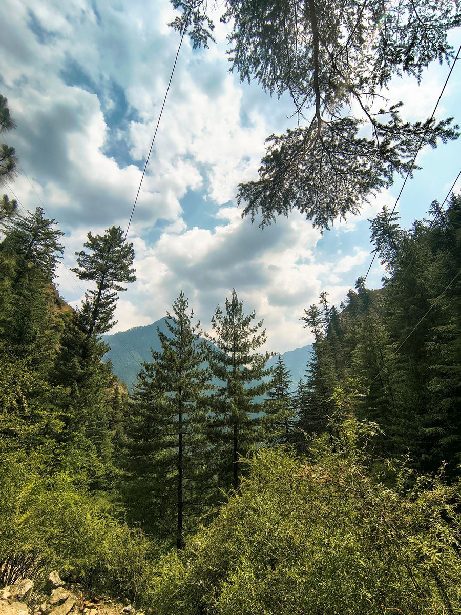 Kasol photo 8