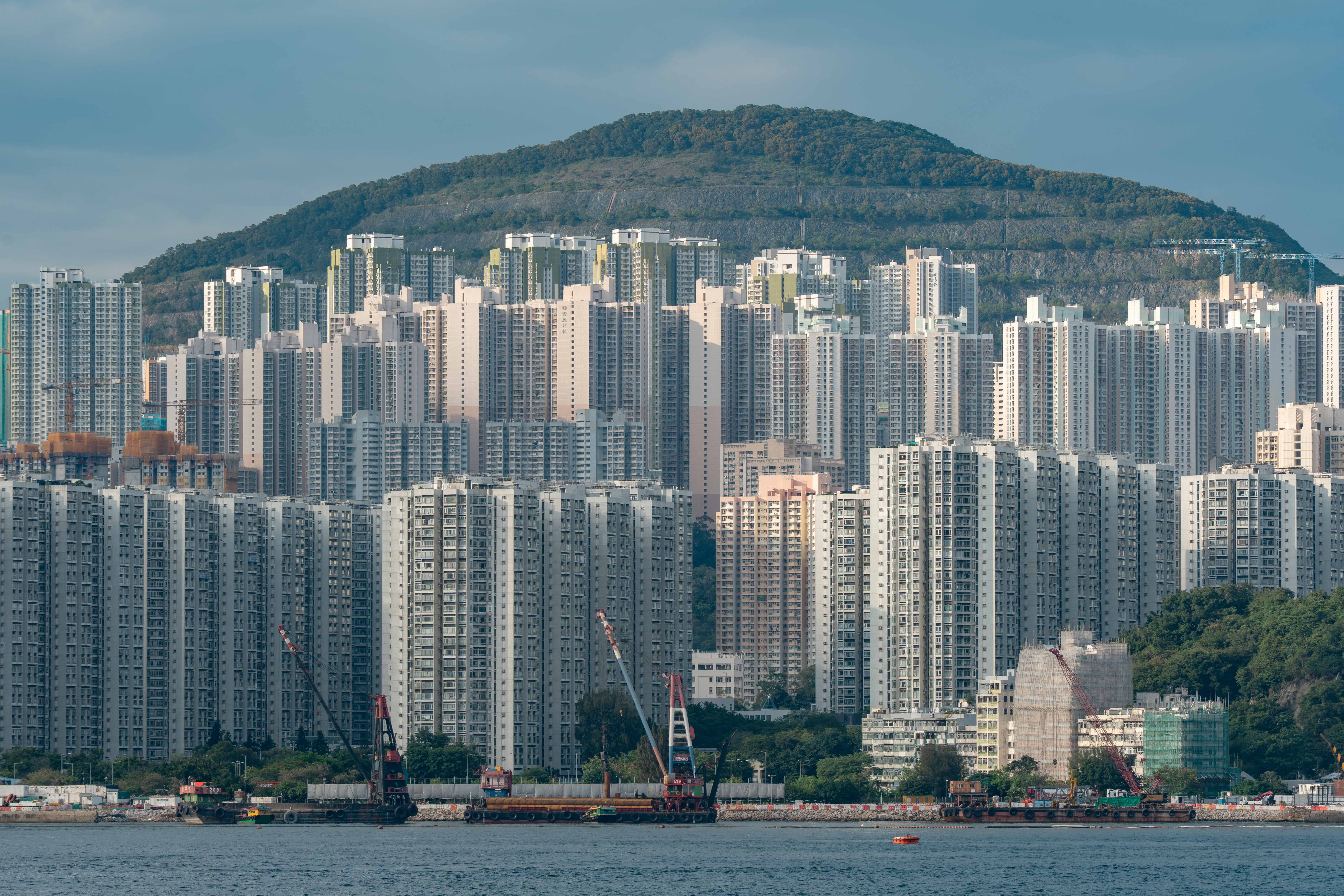 Hong Kong's G-NiiB launches first synbiotics for mental wellness support — Photo by Jens F on Pexels