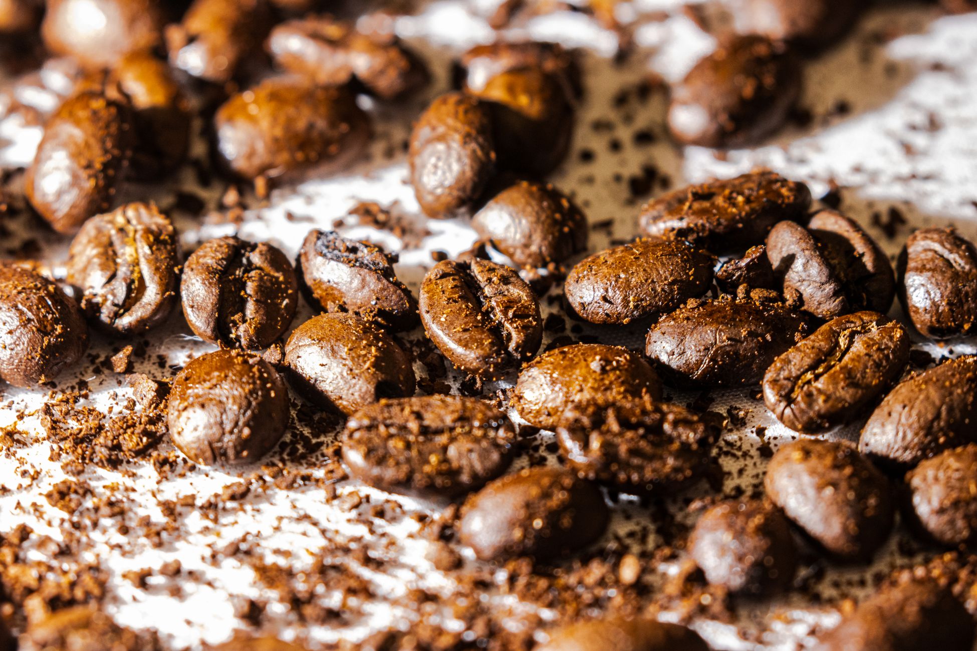 High-resolution image of roasted coffee beans with freshly ground coffee, perfect for cafe themes.