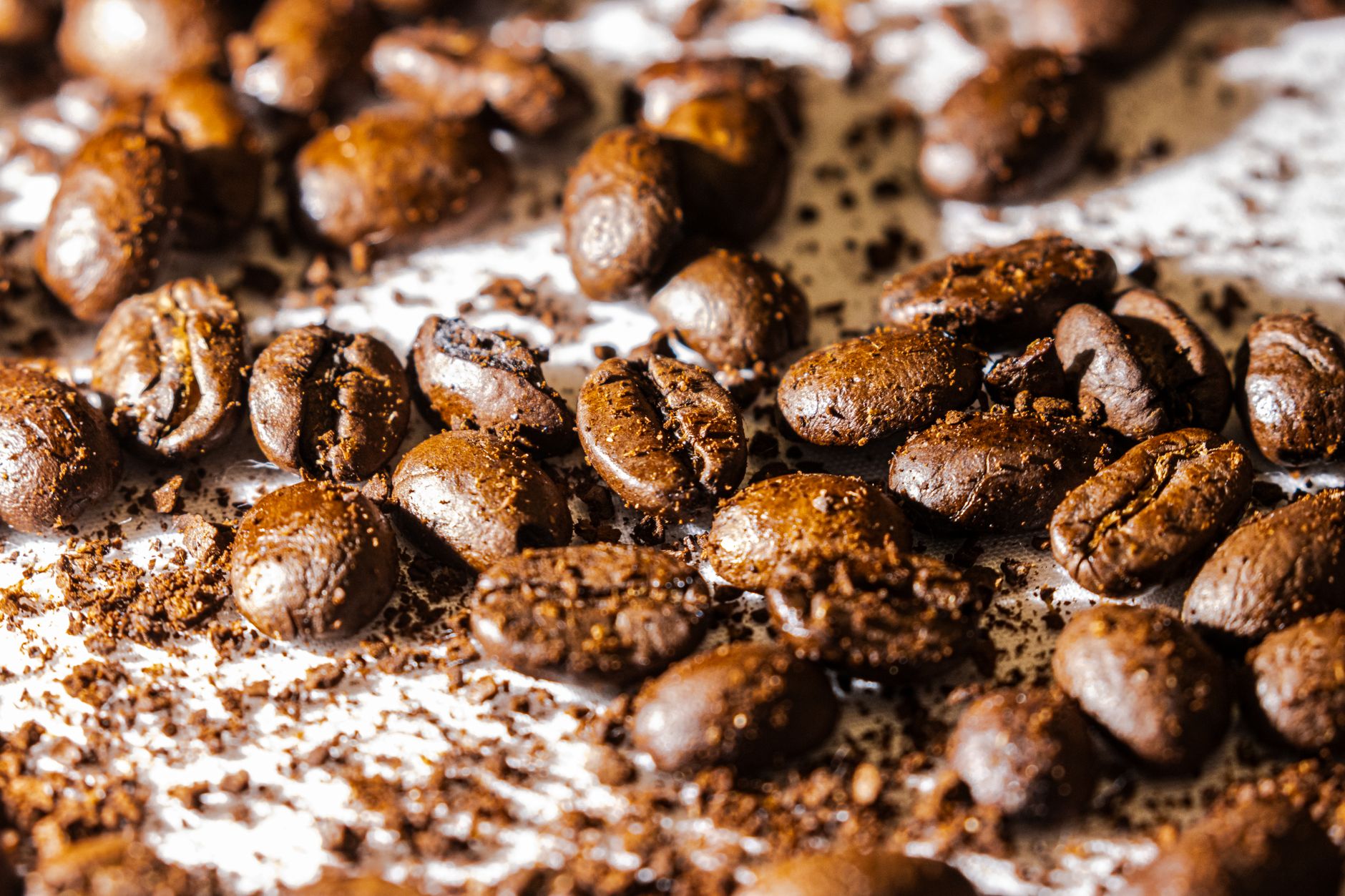 High-resolution image of roasted coffee beans with freshly ground coffee, perfect for cafe themes.