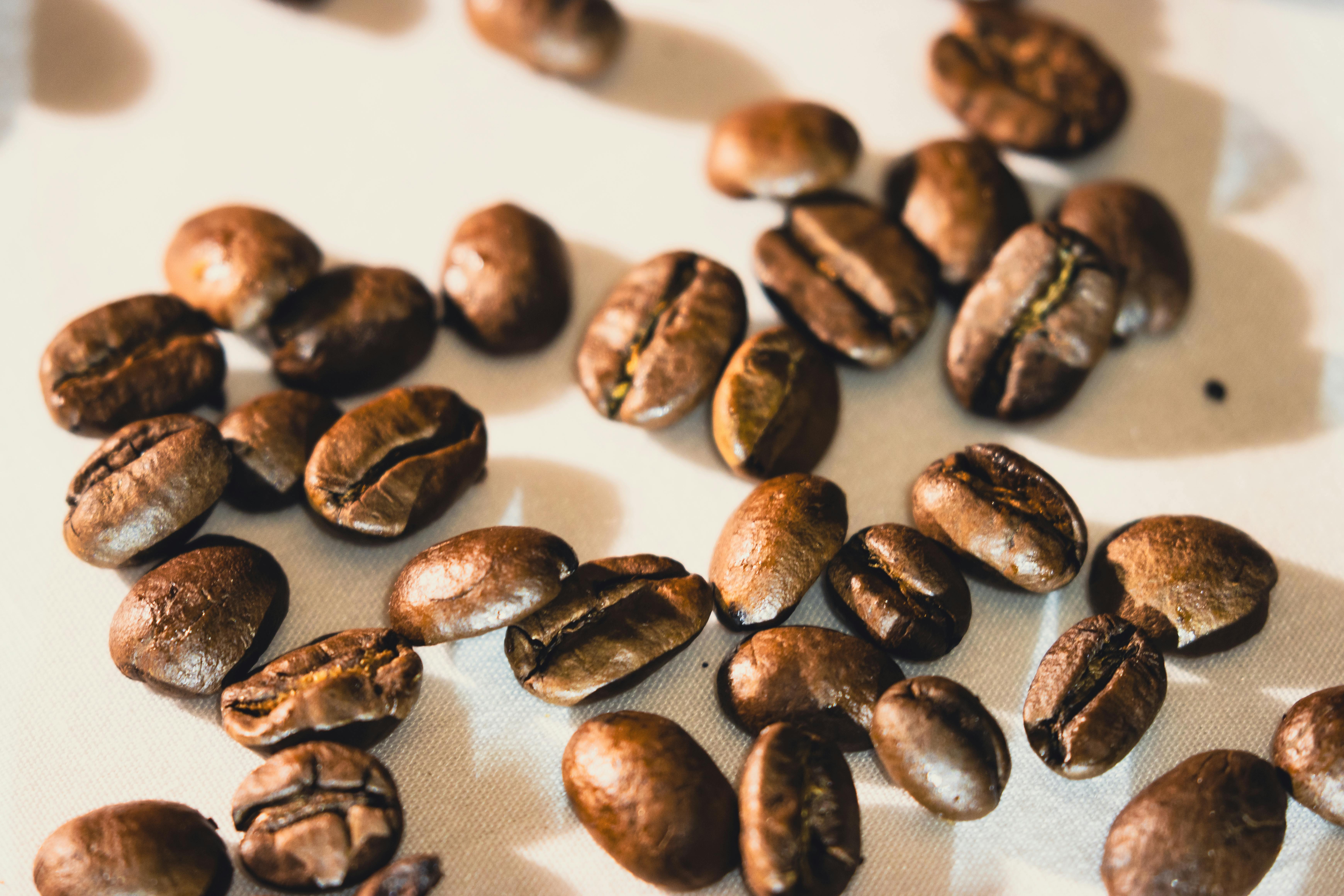 Bright close-up of roasted coffee beans scattered on white surface, ideal for coffee-themed designs.