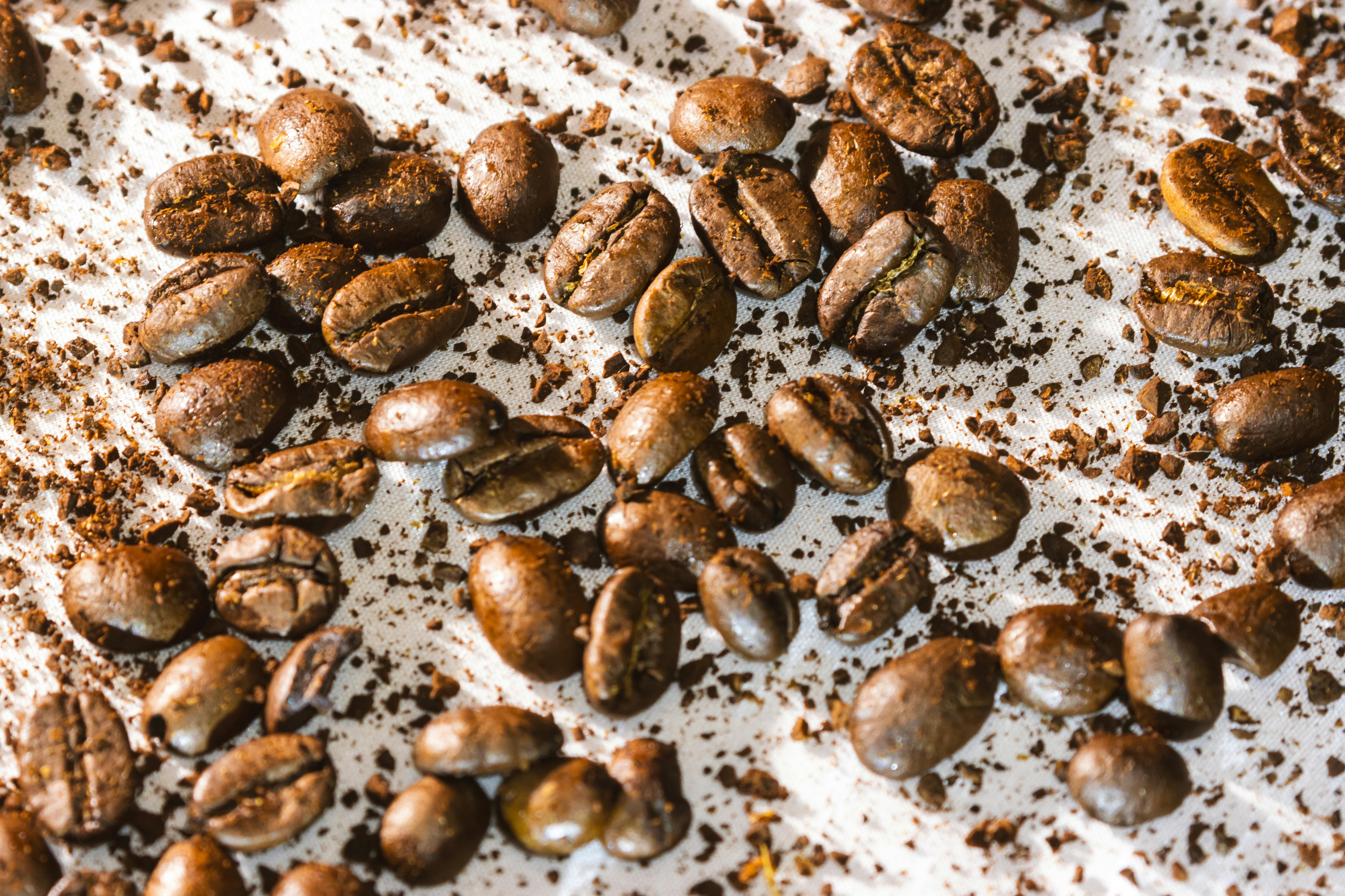 Can Coffee Cause Heartburn?