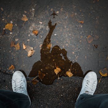 水坑里倒映着飞机，还有一个人的影子和运动鞋