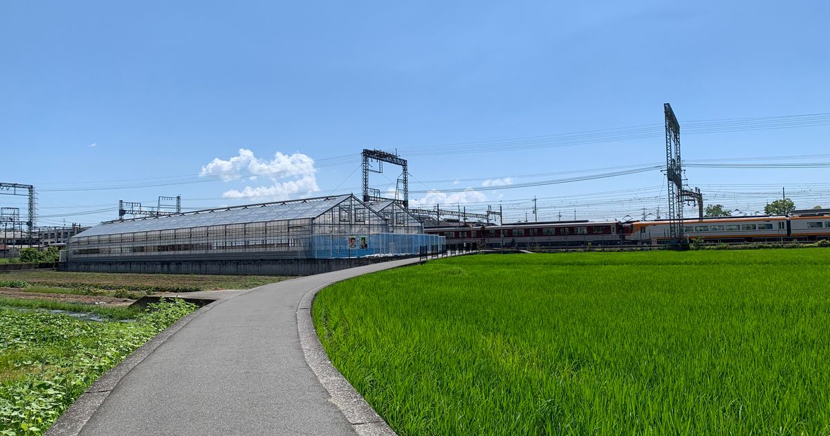 田んぼの横を通る線路と架線柱のイメージ写真