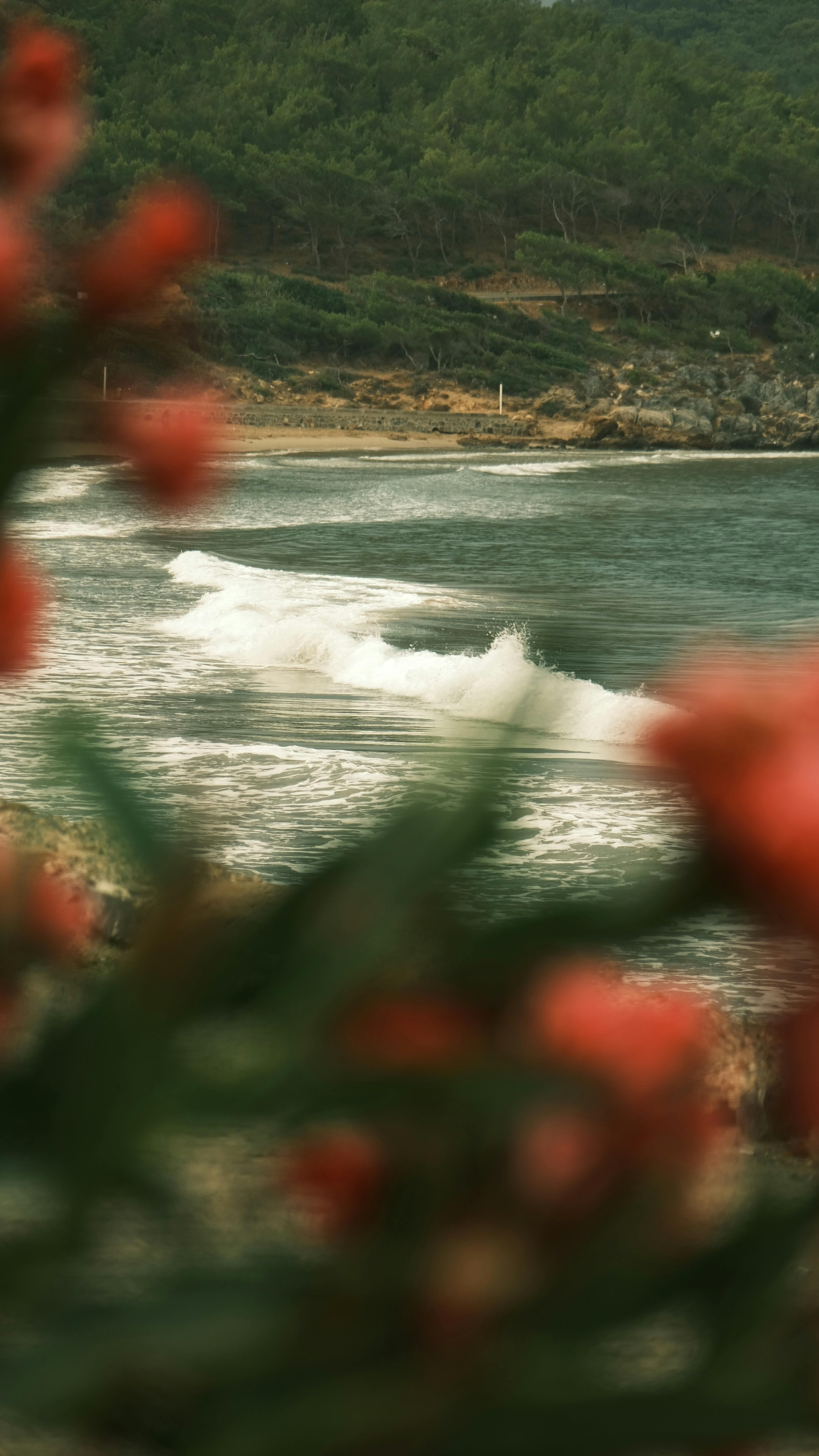A serene coastal scene with waves crashing on the shore surrounded by vibrant flowers and lush greenery.