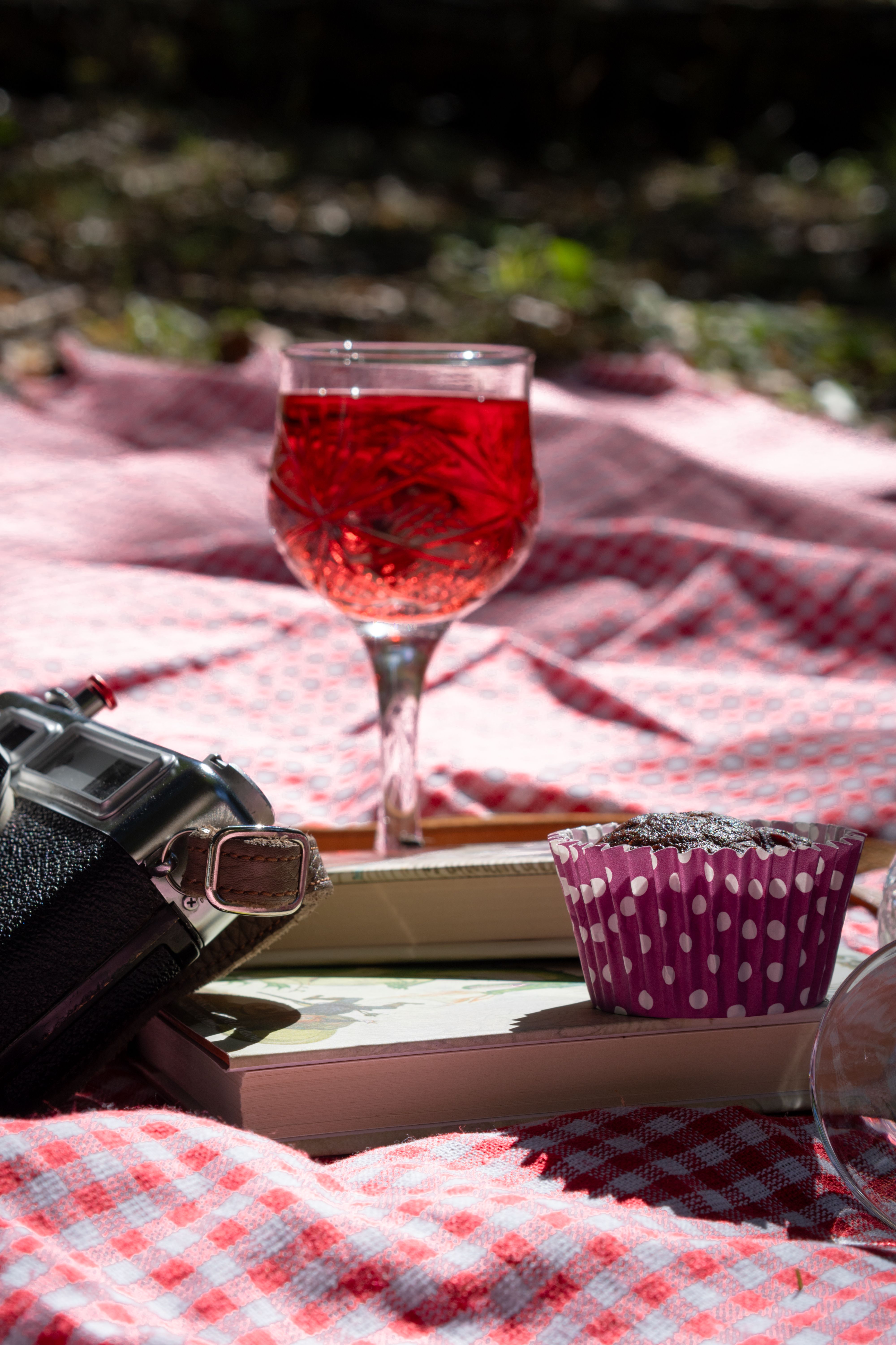 Elegant Outdoor Picnic with Camera and Wine · Free Stock Photo