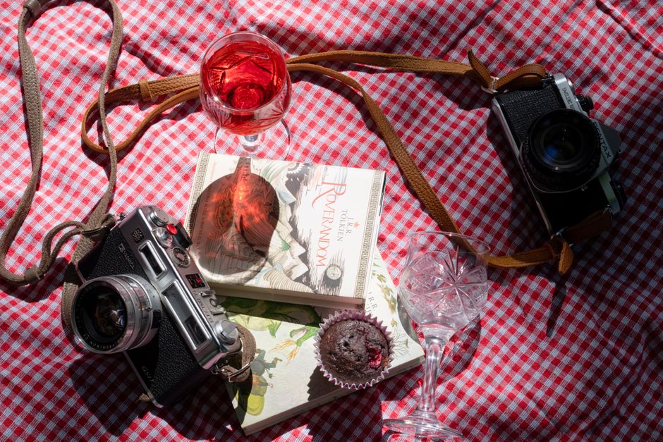 Charming vintage-style picnic scene featuring cameras, book, wine, and dessert on a checkered cloth.