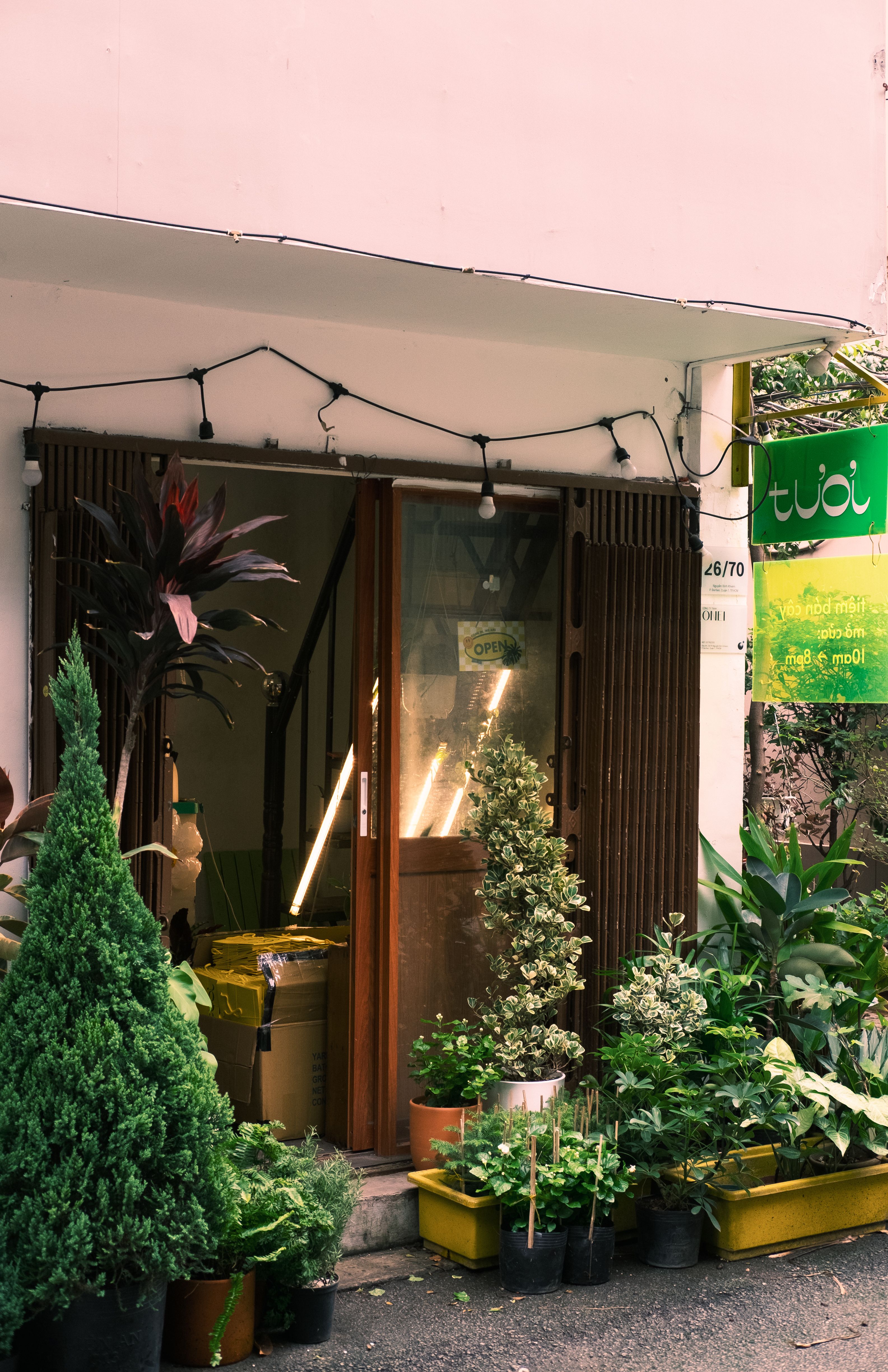 A cozy plant shop entrance with decorative greenery and warm lighting.