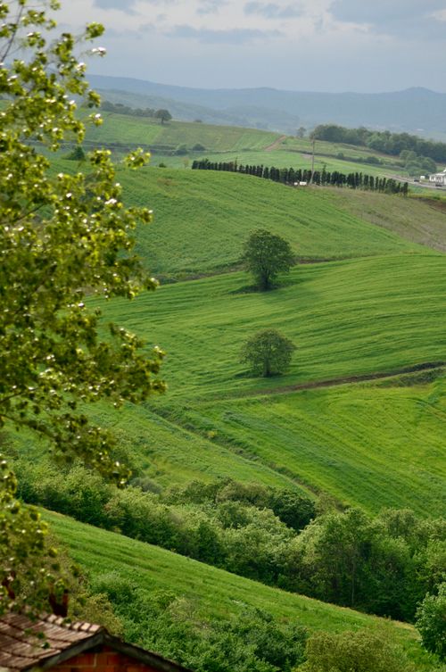 Free Scenic view of vibrant green rolling hills under a cloudy sky. Stock Photo