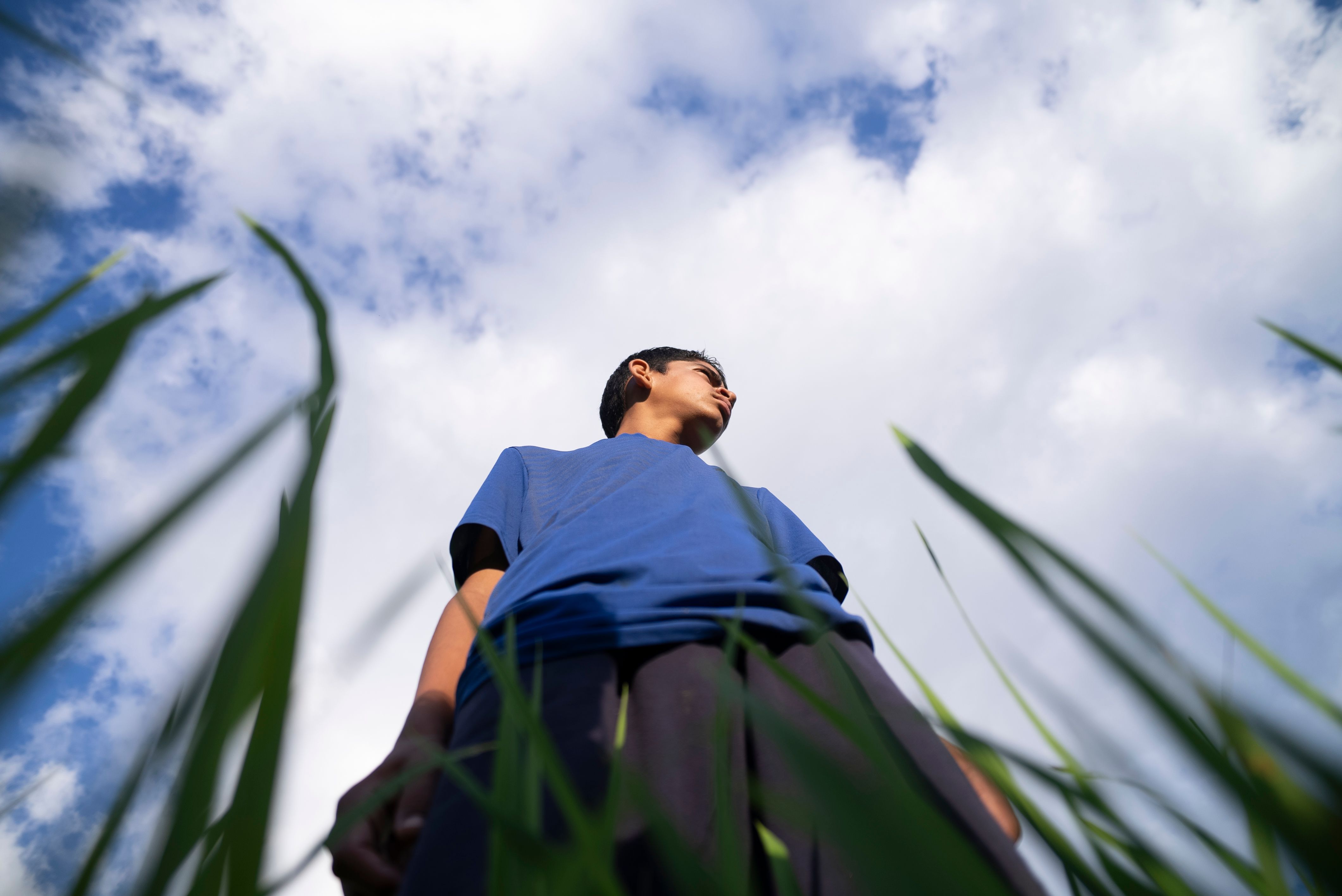 Young Adult Standing in Field Under Blue Sky · Free Stock Photo