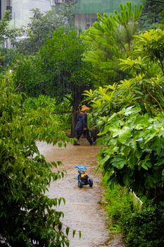 A serene garden scene depicting an abandoned toy tricycle on a rainy day.
