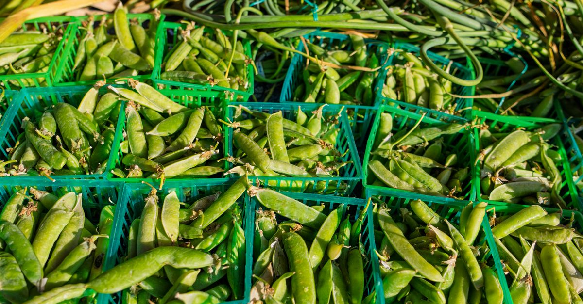 Astuces pour Cultiver les Légumes en Espace Restreint