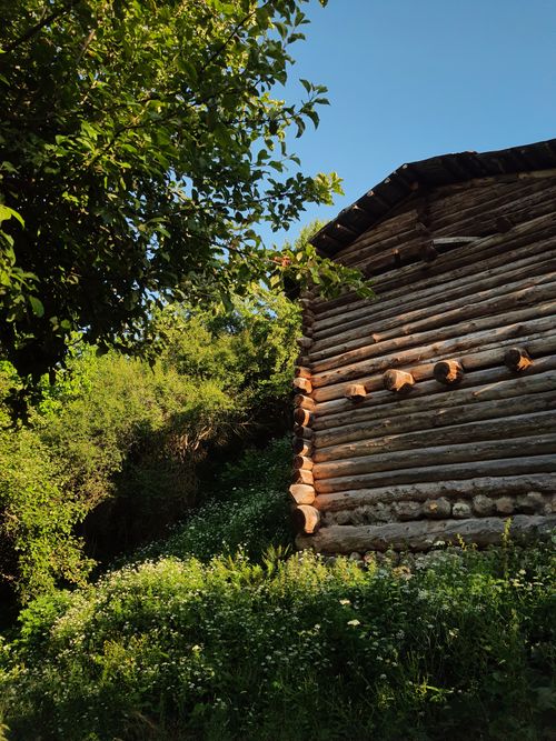 Free A charming rustic cabin surrounded by lush foliage and wildflowers in a serene outdoor setting. Stock Photo