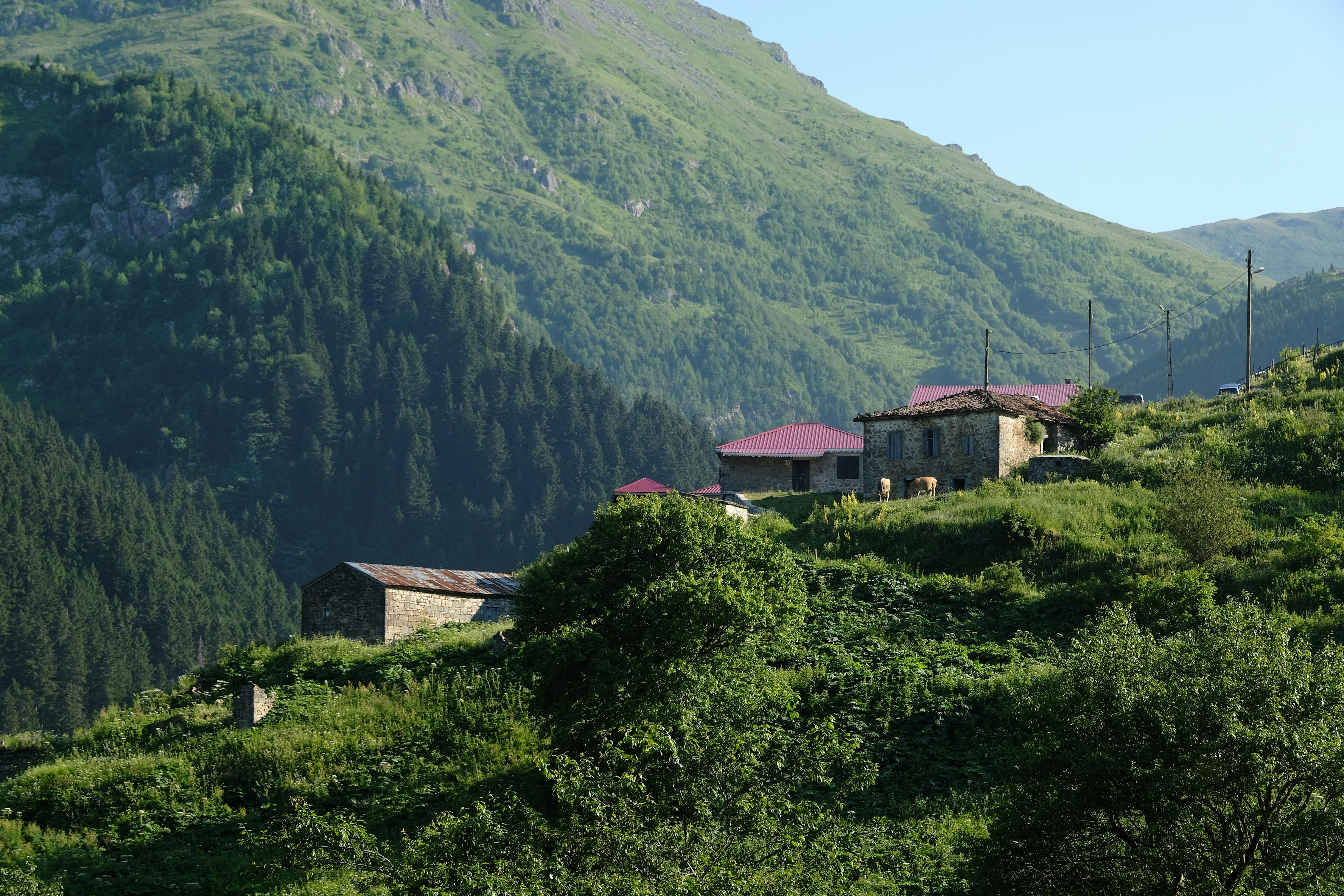 Effective Remote Team Building Strategies for Success