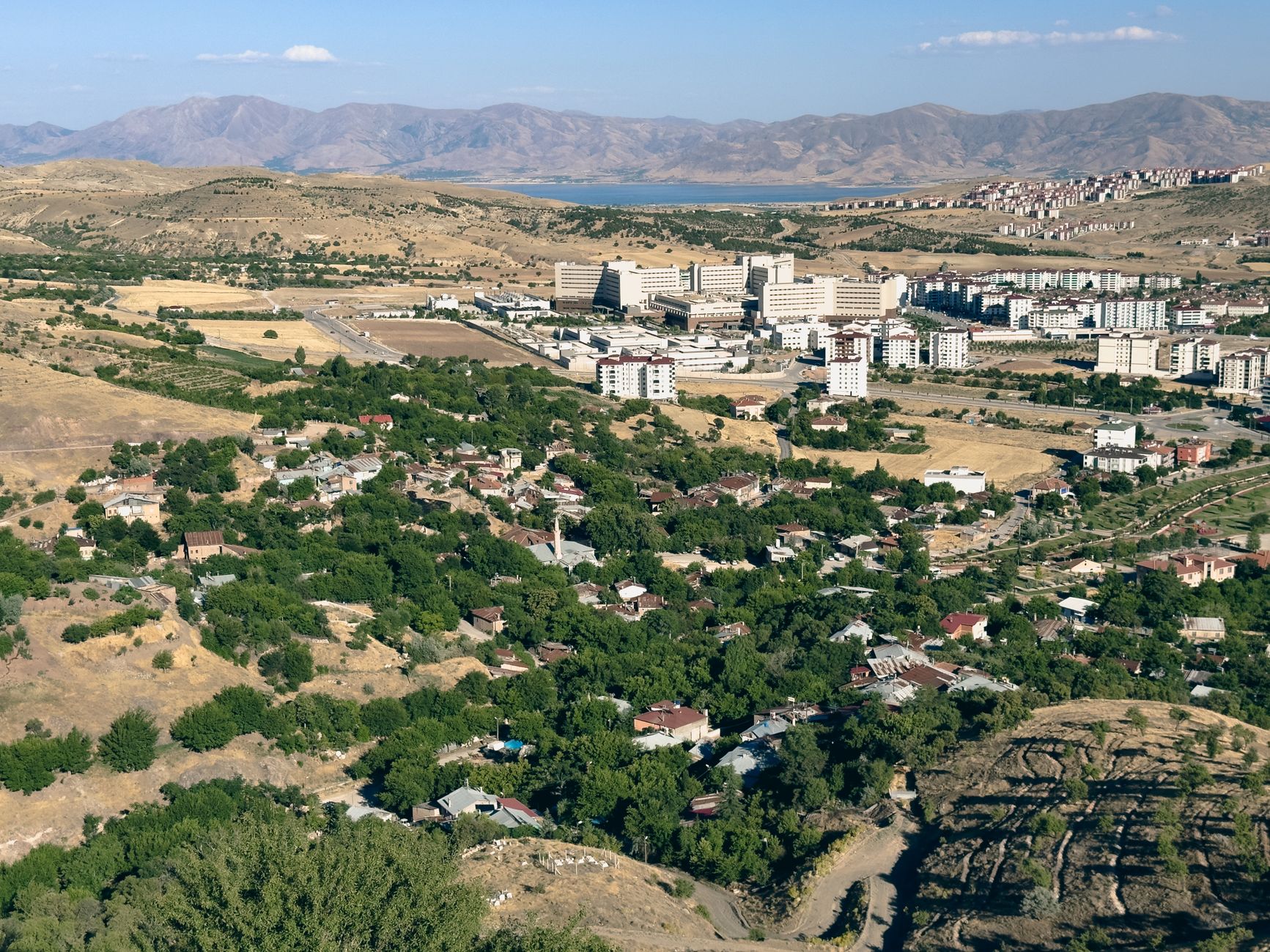 Arda Ünyay