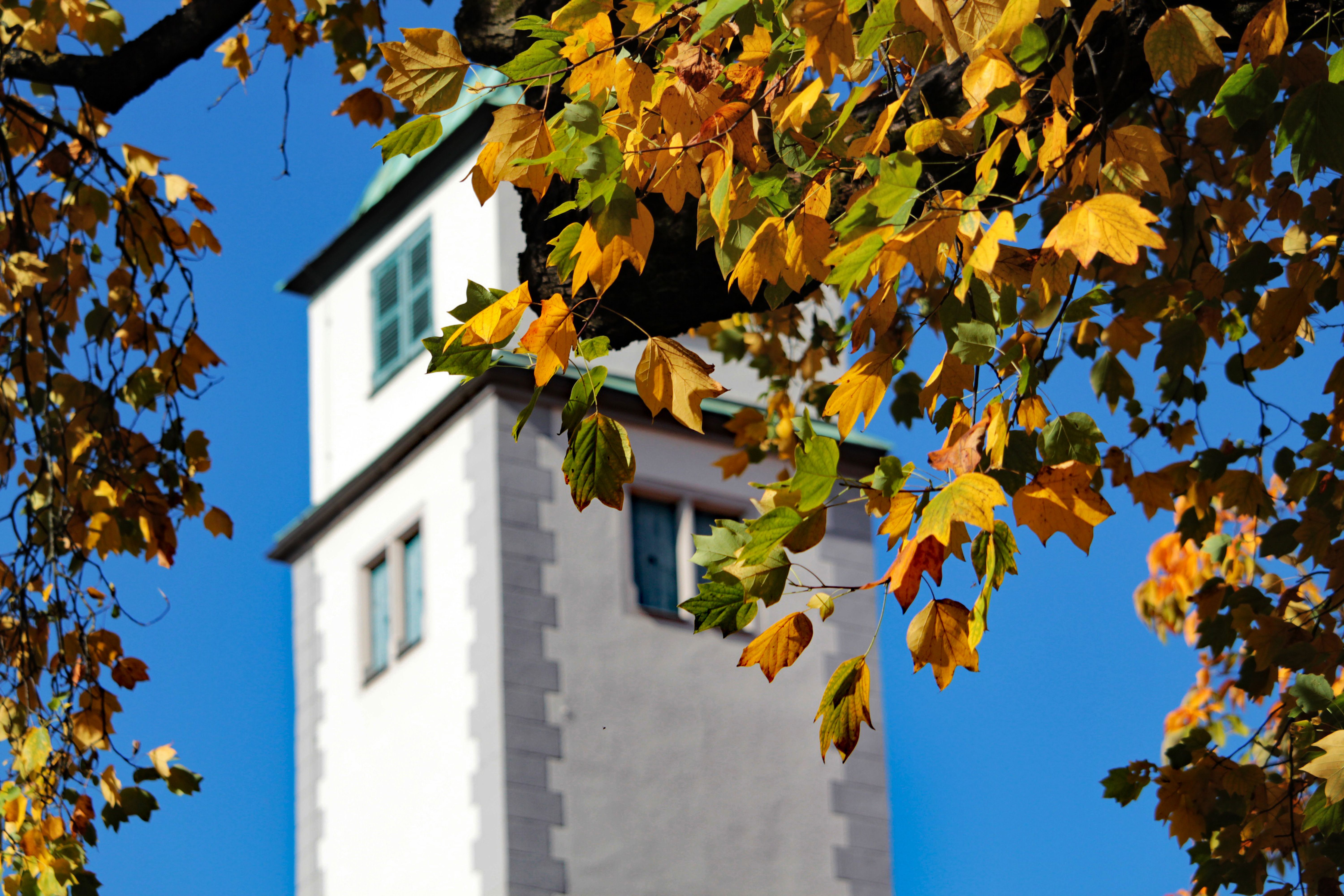 Perlachturm
