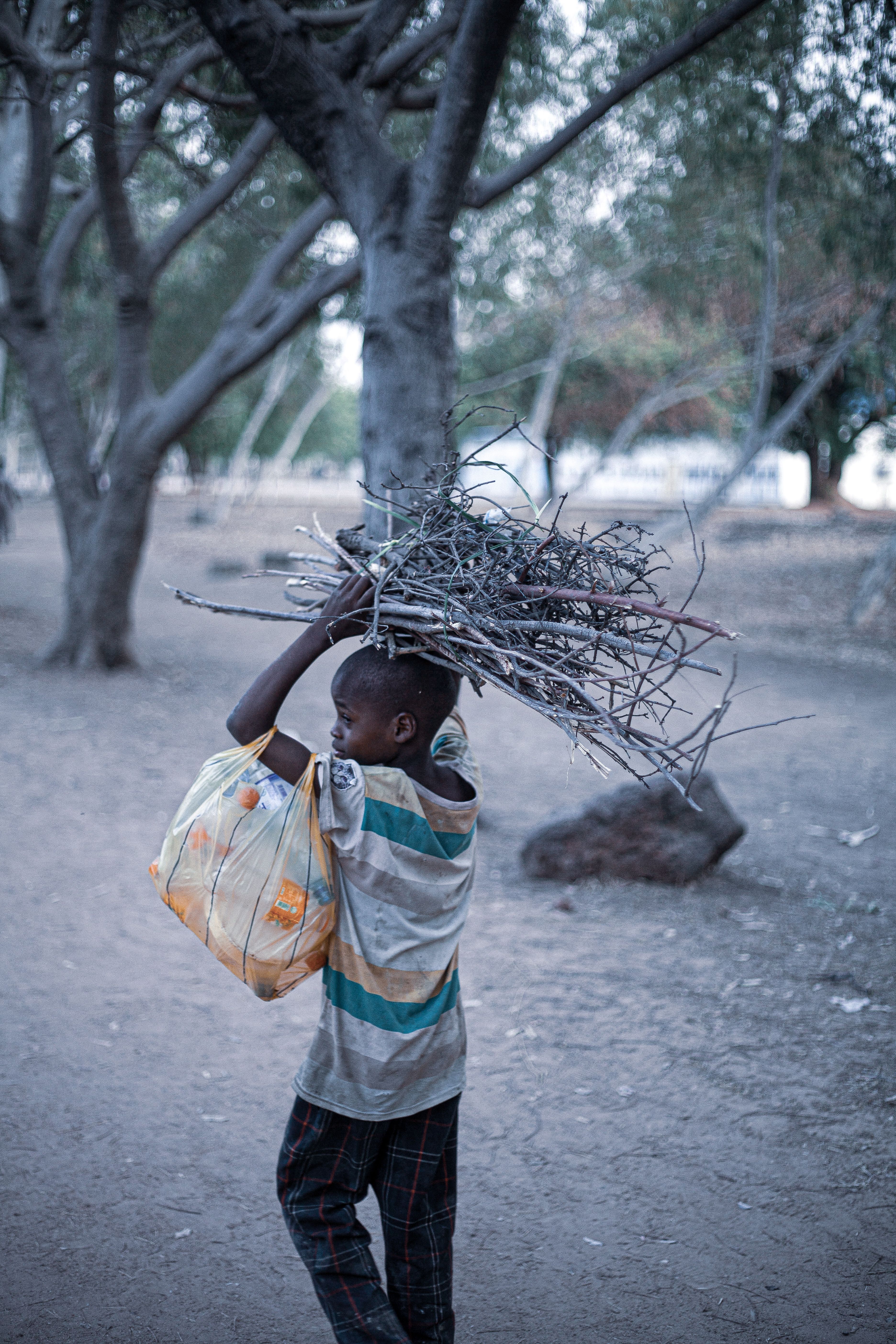 Child Carrying Firewood in Rural Landscape · Free Stock Photo