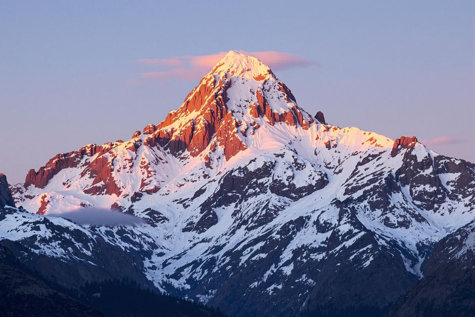 States make last-ditch effort to stop the Paramount ‘media behemoth’