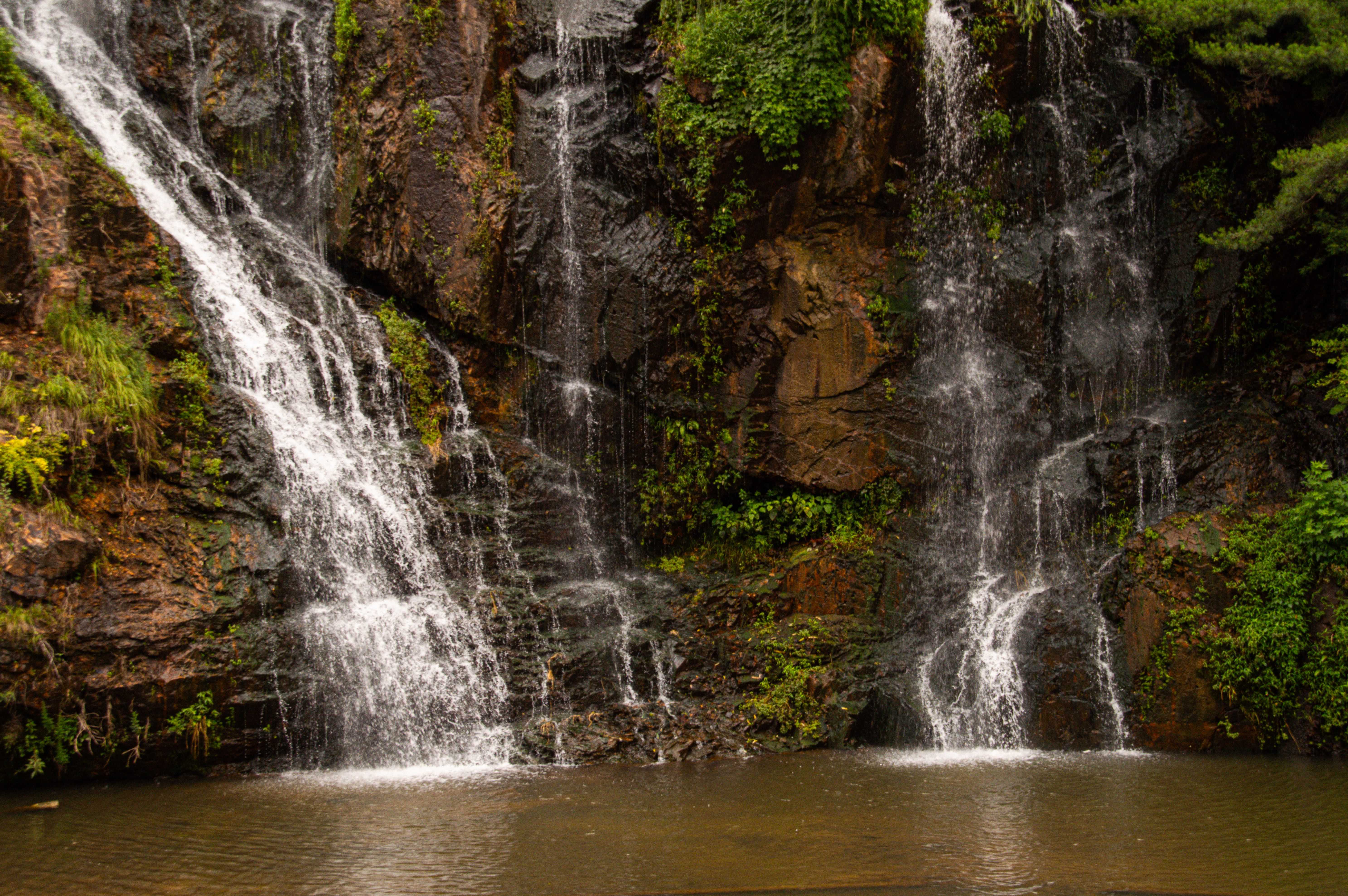 Reedy Cove Falls (Blue Hole): A Pickens County Swimming Hole Classic