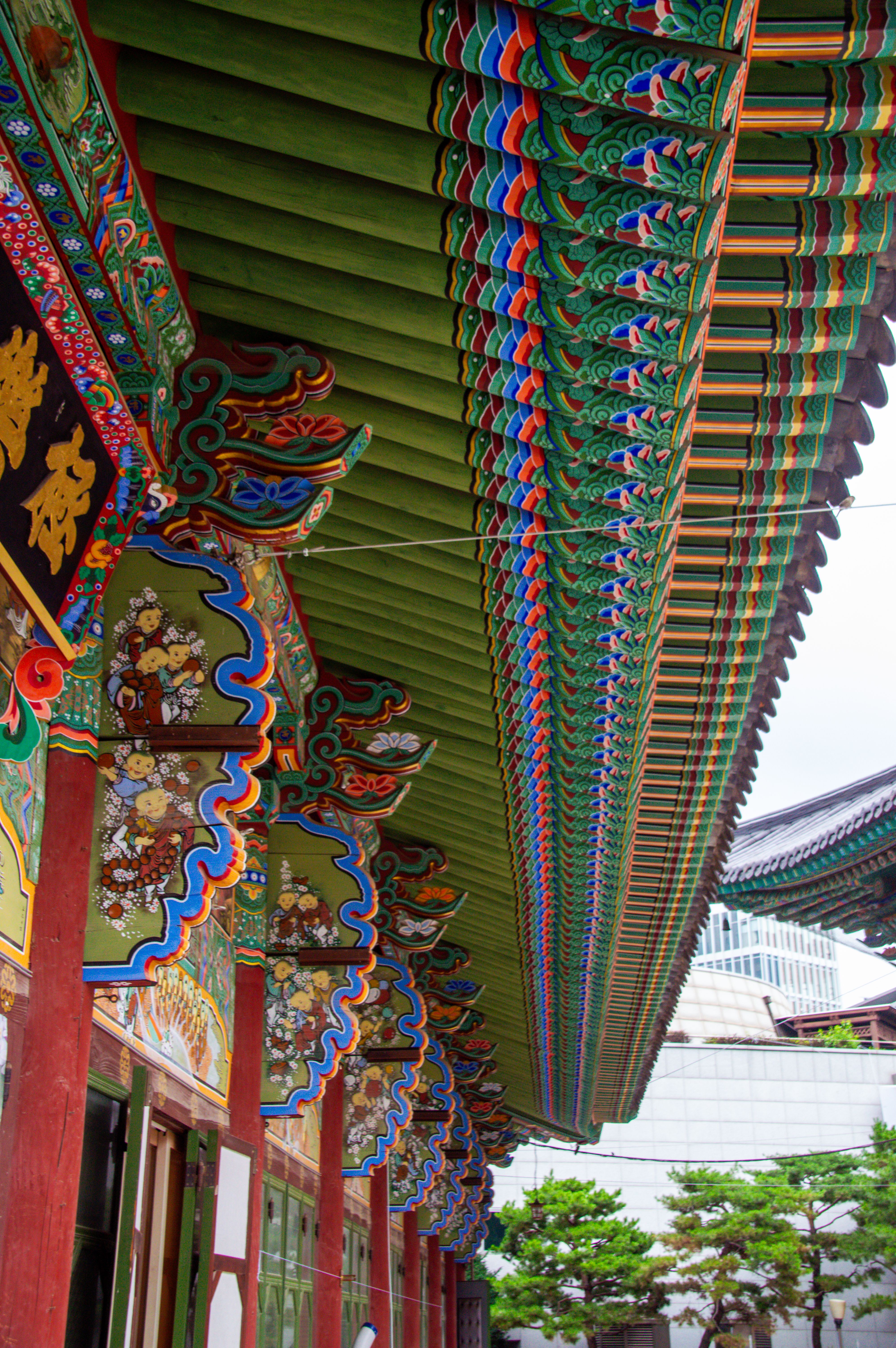 Discovering the Quiet Beauty of Xiamen: A Local's Guide to Hidden Gems